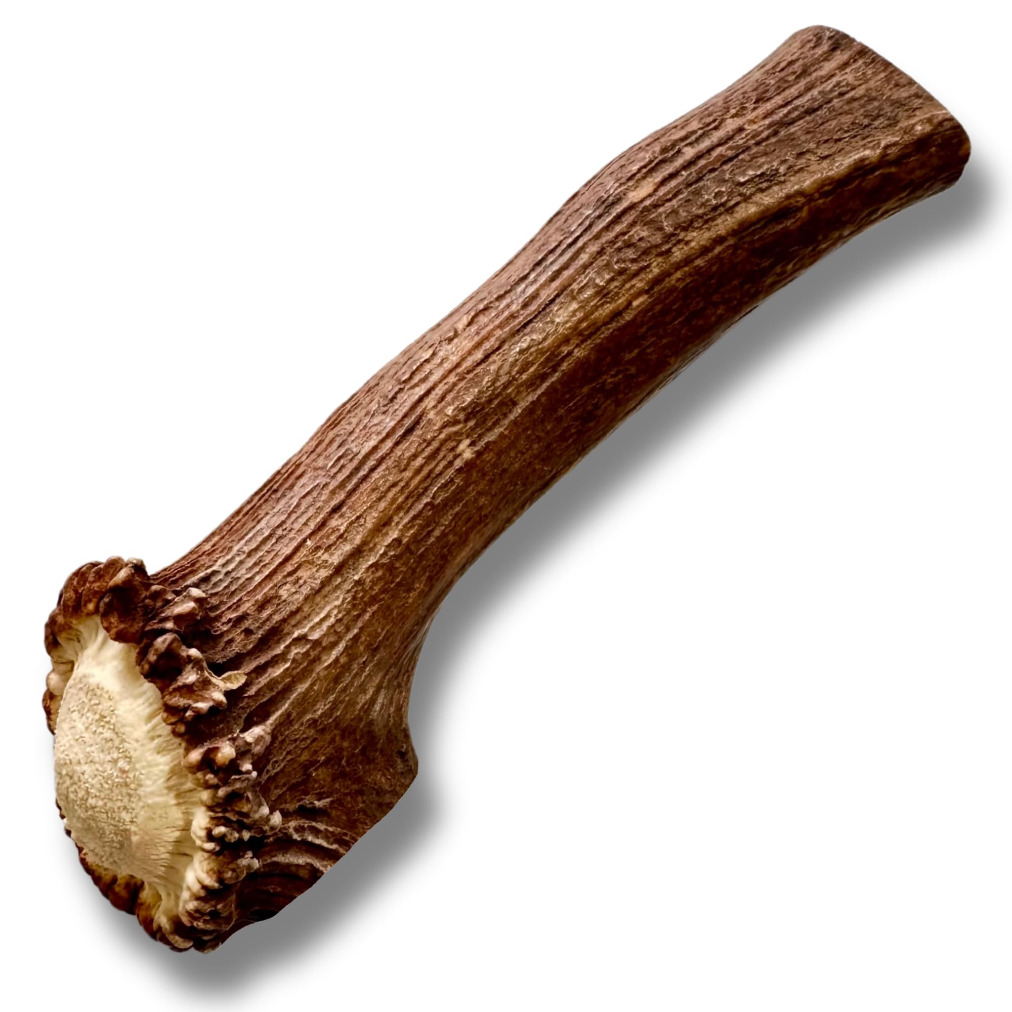 WhiteTail Naturals | Red Deer Antlers for Extra Large Dogs - (Jumbo-XXL) - Naturally Shed, Long Lasting Chew Bone for Aggressive