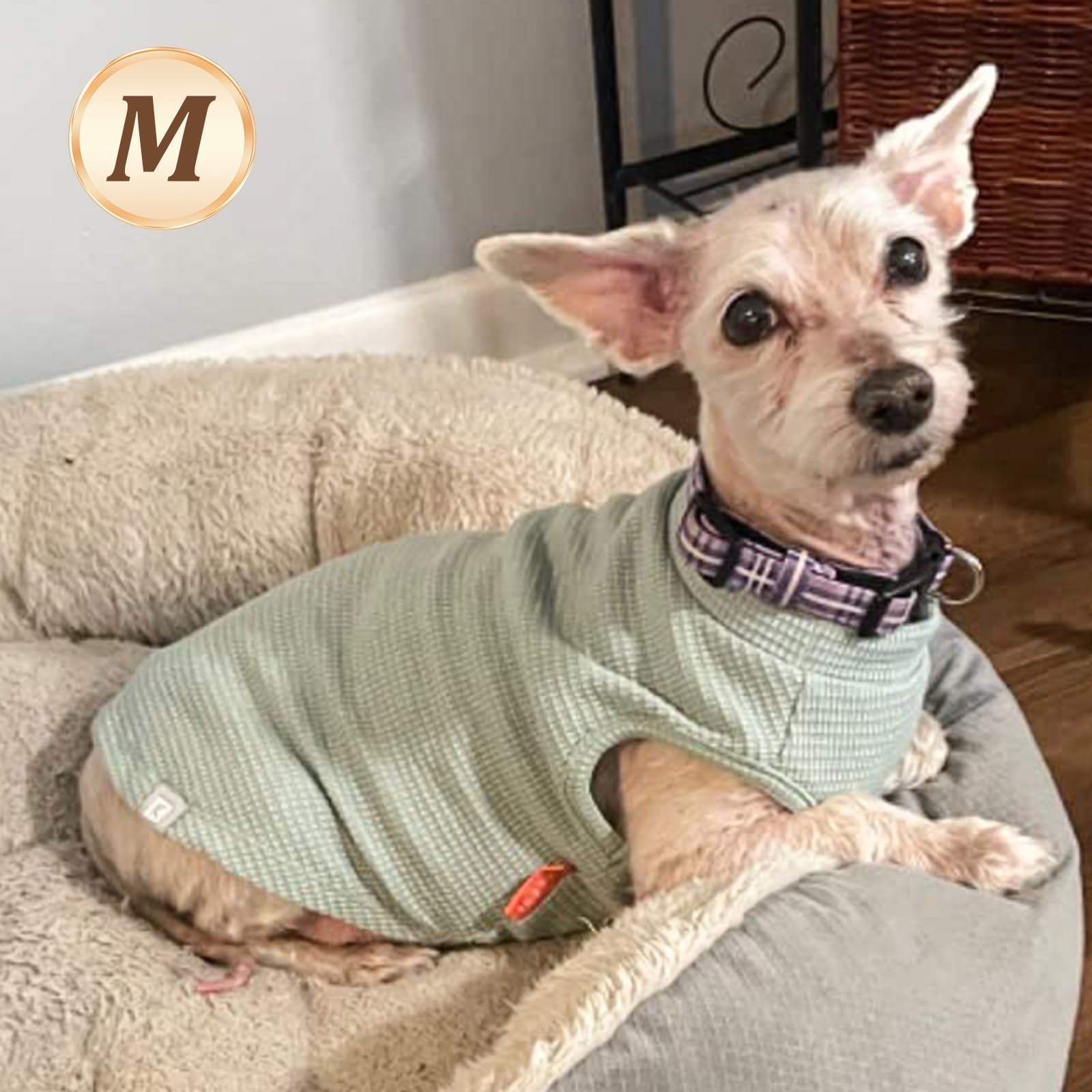 Kyeese 2Pack Dog Shirts Waffle For Small Dogs Stretchy T-Shirts Lightweight Tank Top Sleeveless Dog Vest Breathable Cat Shirt, M