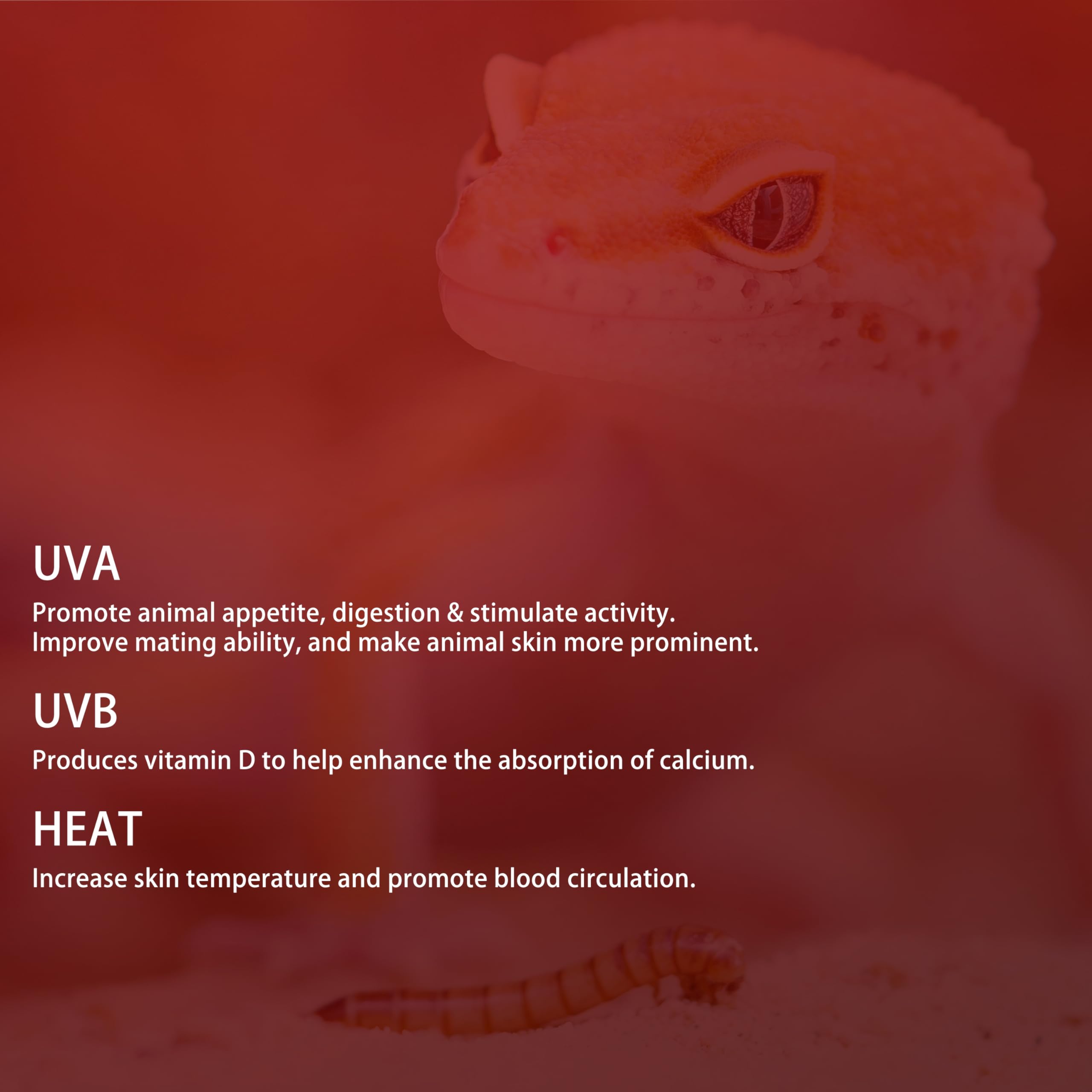 ExoRepti 6 Pack G9 Infrared Heat Lamp Bulbs - Dimmable Night Red UVA Reptile Heat Lamp, 2 Pin Base Mini Reptile Light Bulb Repla