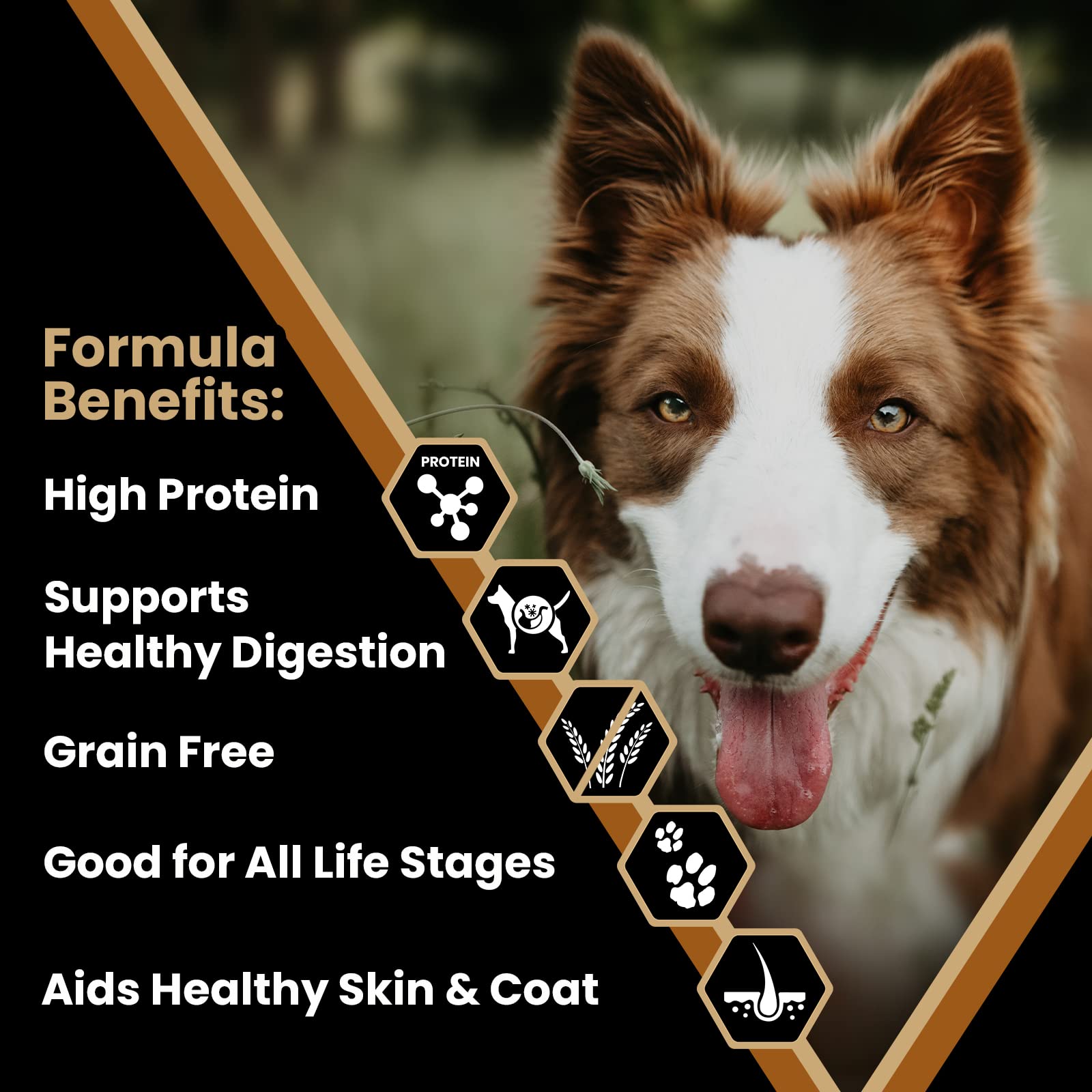 Victor Super Premium Dog Food - Grain Free Chicken Meal & Sweet Potato Recipe - Dry Dog Food for Dogs of All Life Stages - High