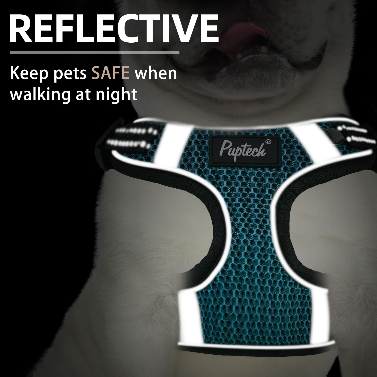 PUPTECK No Pull Dog Harness and Leash Set Reflective No Choke Step in Puppy Halter for XS Small and Medium Sized Dogs, Turquoise
