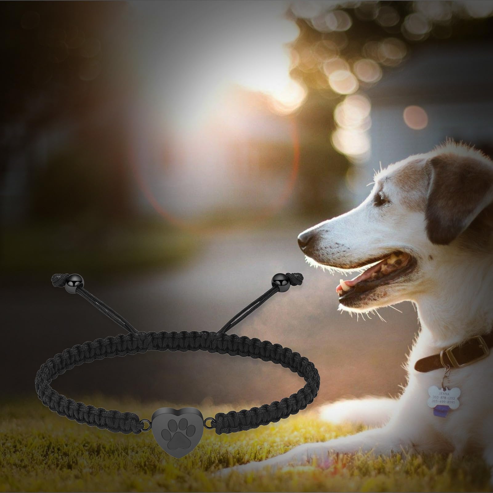 Qgjnsgc Cremation Bracelet For Pets Ashes Cat Dog Heart Paw Print Pendant Bangle Stainless Steel Memorial Urn Bracelet Cremation