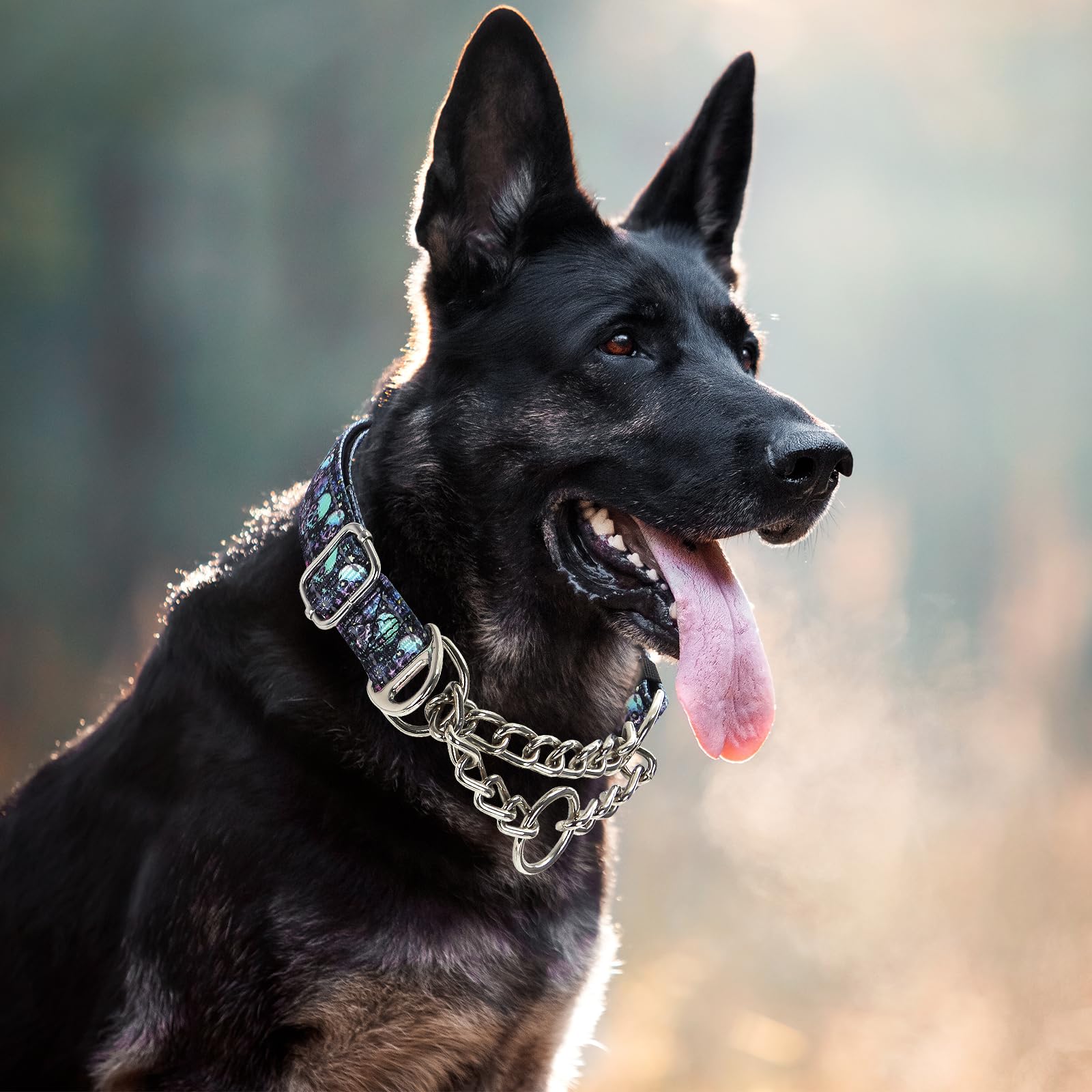 Martingale Dog Collar With Chain,Skull Reflective Nylon Soft Padded Adjustable Choke Collar For Large Breed Dogs, Medium, Xl, Xx