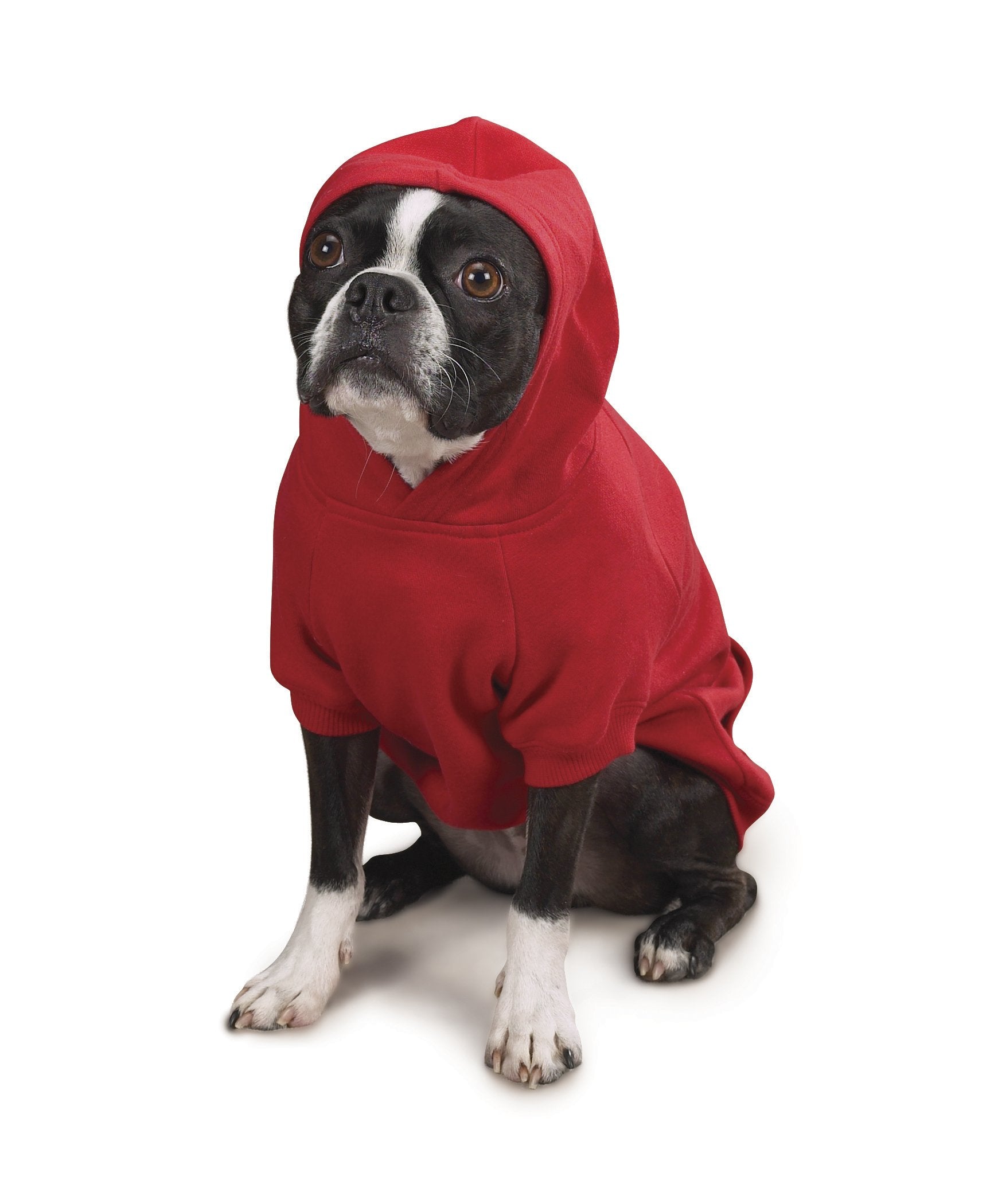 Zack & Zoey Basic Hoodie For Dogs, 8' X-Small, Tomato Red