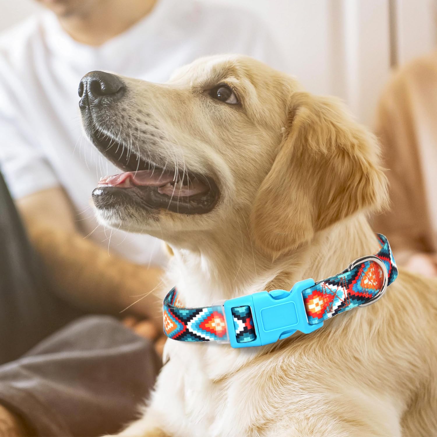 Dog Collar For Small Dogs With Blue African Tribal Mexican Native Boho Pattern, Adjustable Pet Collars For Girl Boy Puppy Dogs X