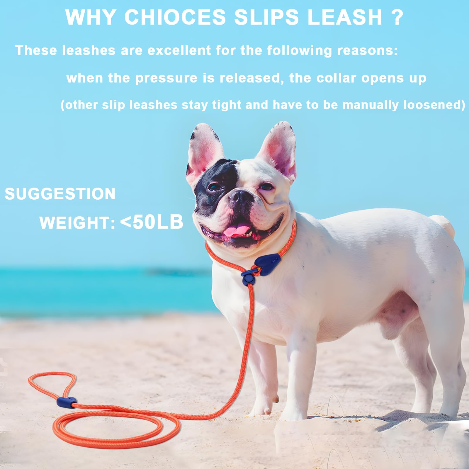 Slip Leads For Dogs Puppy Leash Comfortable 6 Ft Heavy Duty Loop Leash No Pull Pet Training Leash 6 Colors Classic Dog Leash For