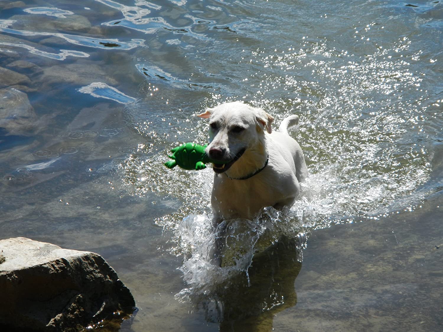 Cycle Dog Small Blue 3-Play Hippo Dog Toy with Ecolast Recycled Material - Tough & Sustainable Chew Toy for Dogs & Puppies/Treat