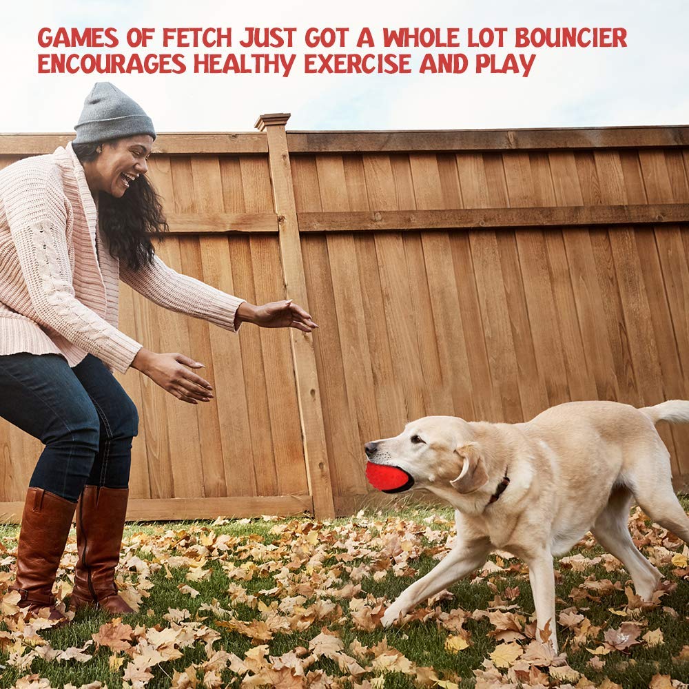 RHL Dog Squeaky Toys for Aggressive chewers Large Breed Balls Interactive Ball Toy Almost Indestructible Tough Durable Stick Med