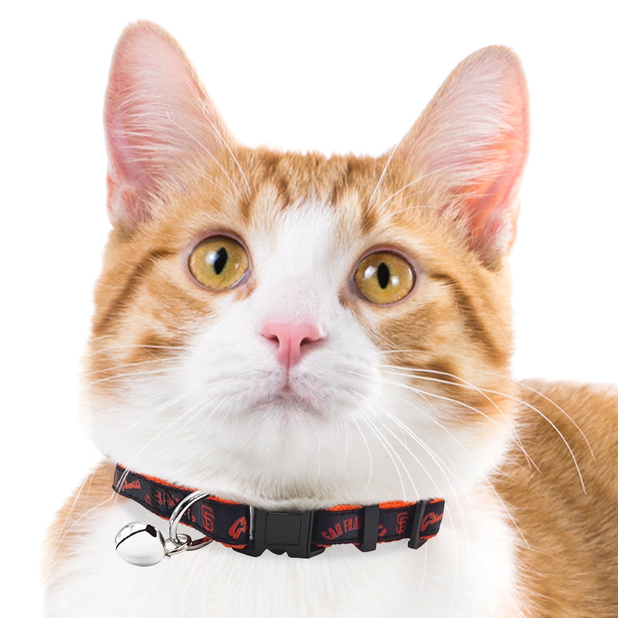 Mlb Cat Collar San Francisco Giants Satin Cat Collar Baseball Team Collar For Dogs & Cats. A Shiny & Colorful Cat Collar With Ri