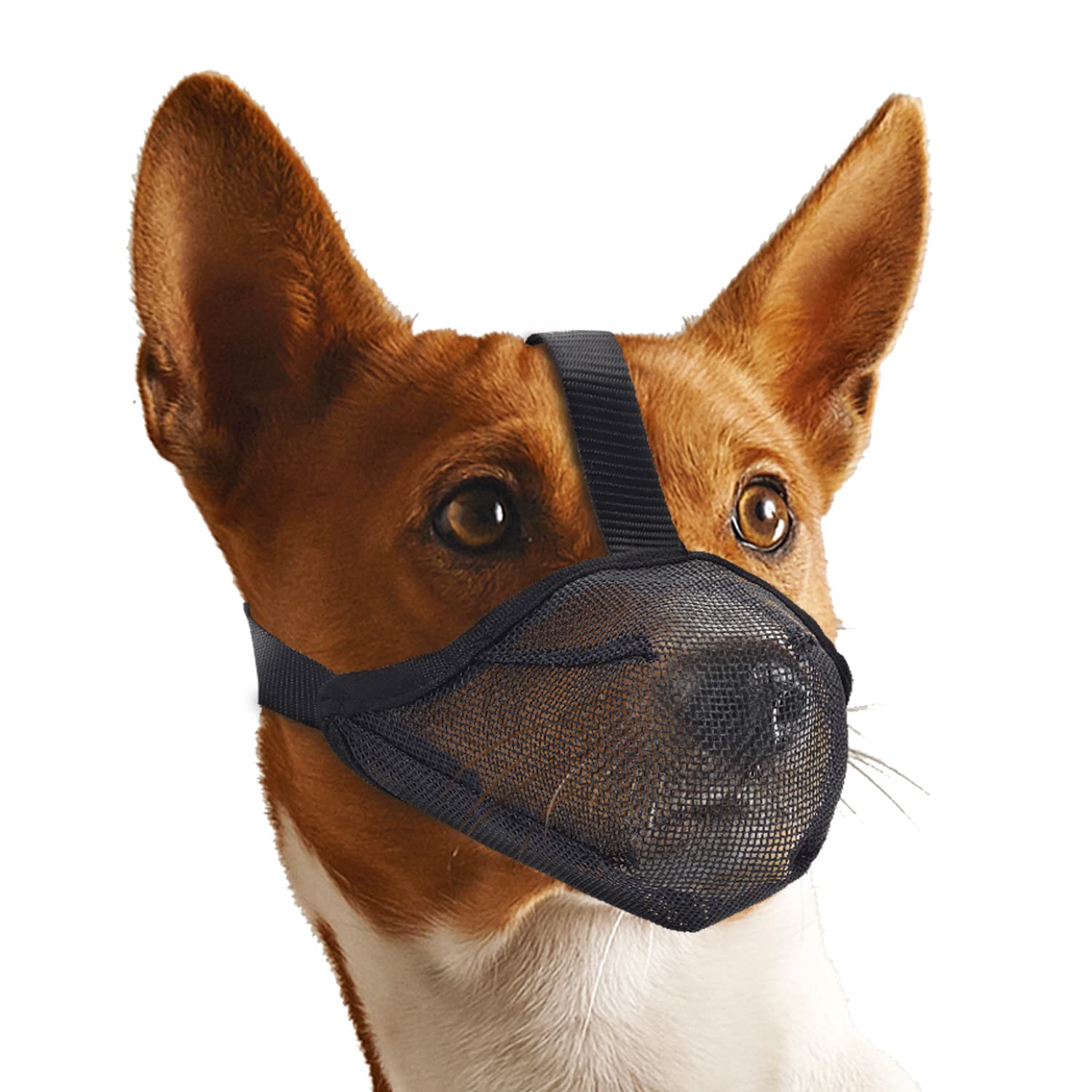 Whongkidz Dog Muzzle for Extra Small Sized Dogs, Air Mesh Dog Mouth Cover Allow Drinking No Biting Chewing for Dogs That Eat Eve