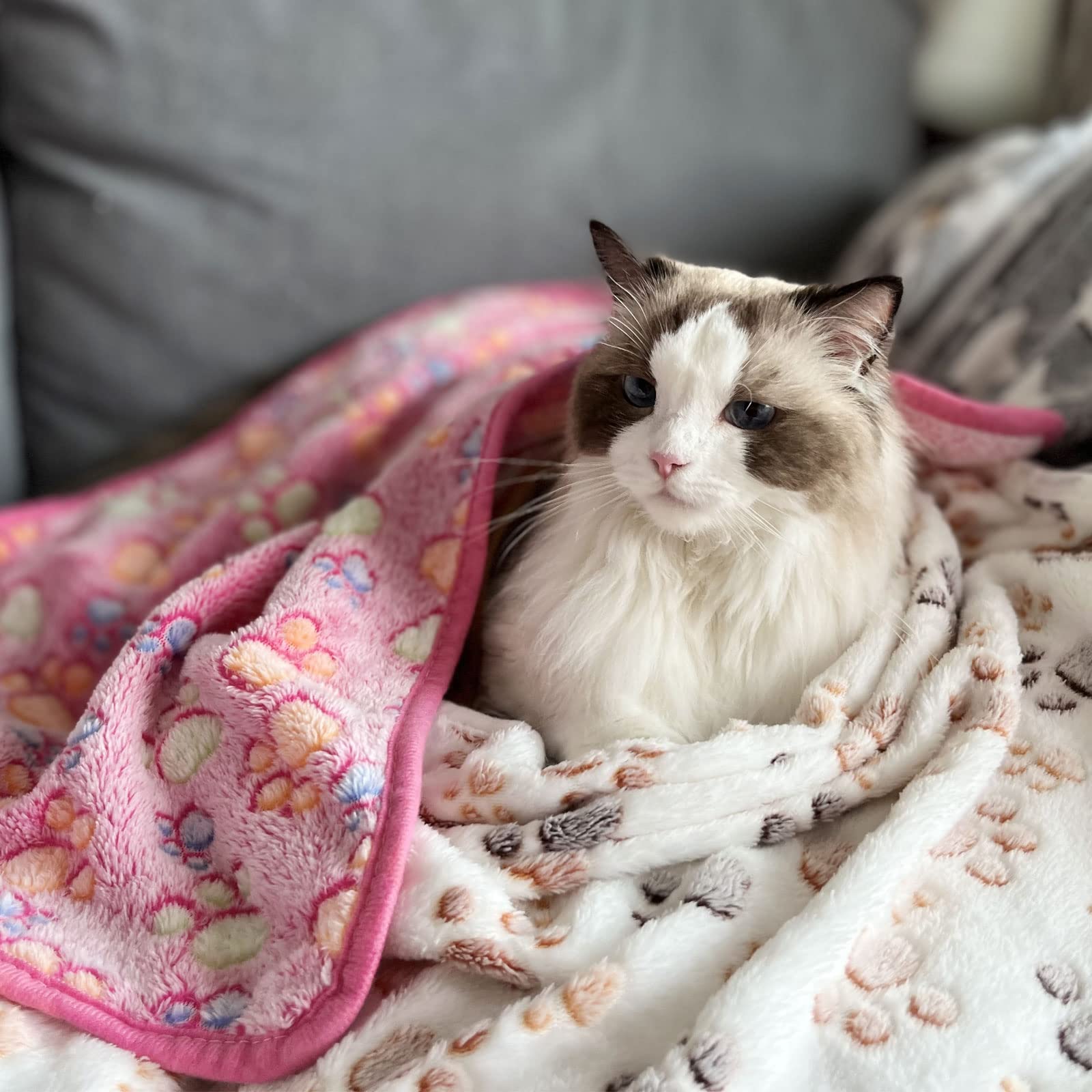 1 Pack 3 Puppy Dog Blankets Super Soft Warm Sleep Mat Fluffy Premium Fleece Pet Blanket Flannel Throw For Dog Puppy Cat - White Paw Print Large(40'X30')