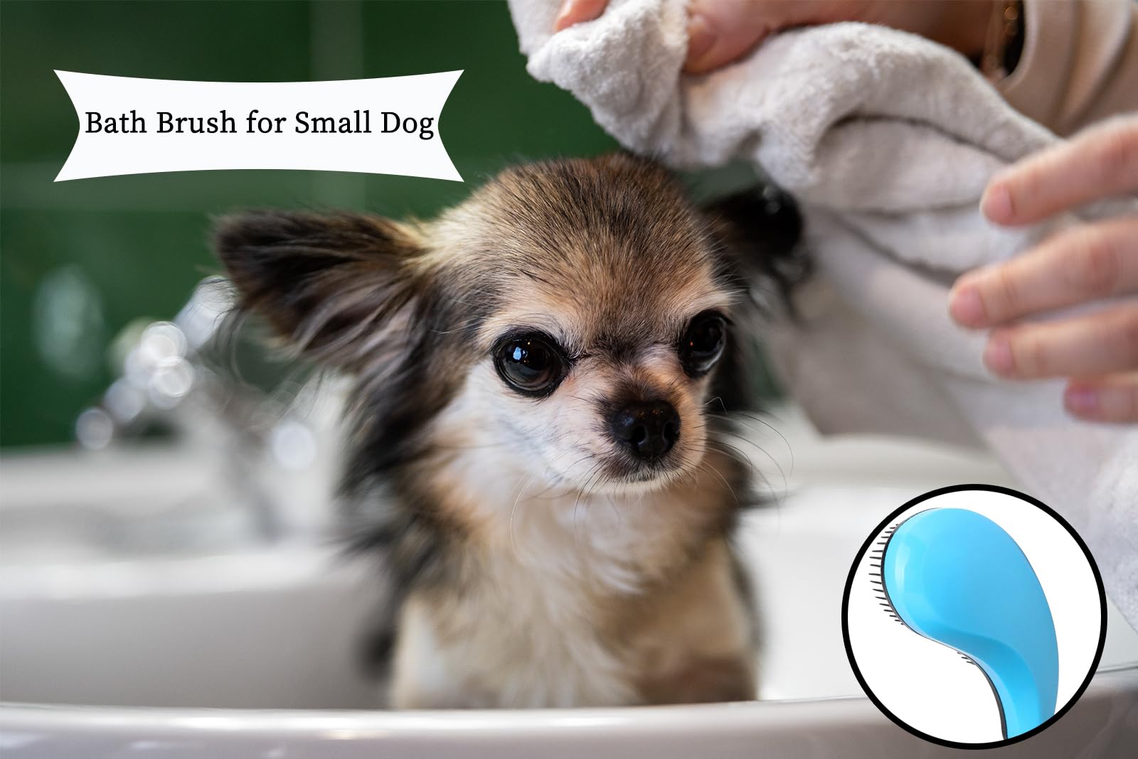 MAEELOU Small Dog Brush- Grooming Tool for Teddy, Yorkies, Maltese, Shih Tzu, Chihuahua - Puppy Hair Brush (Blue)