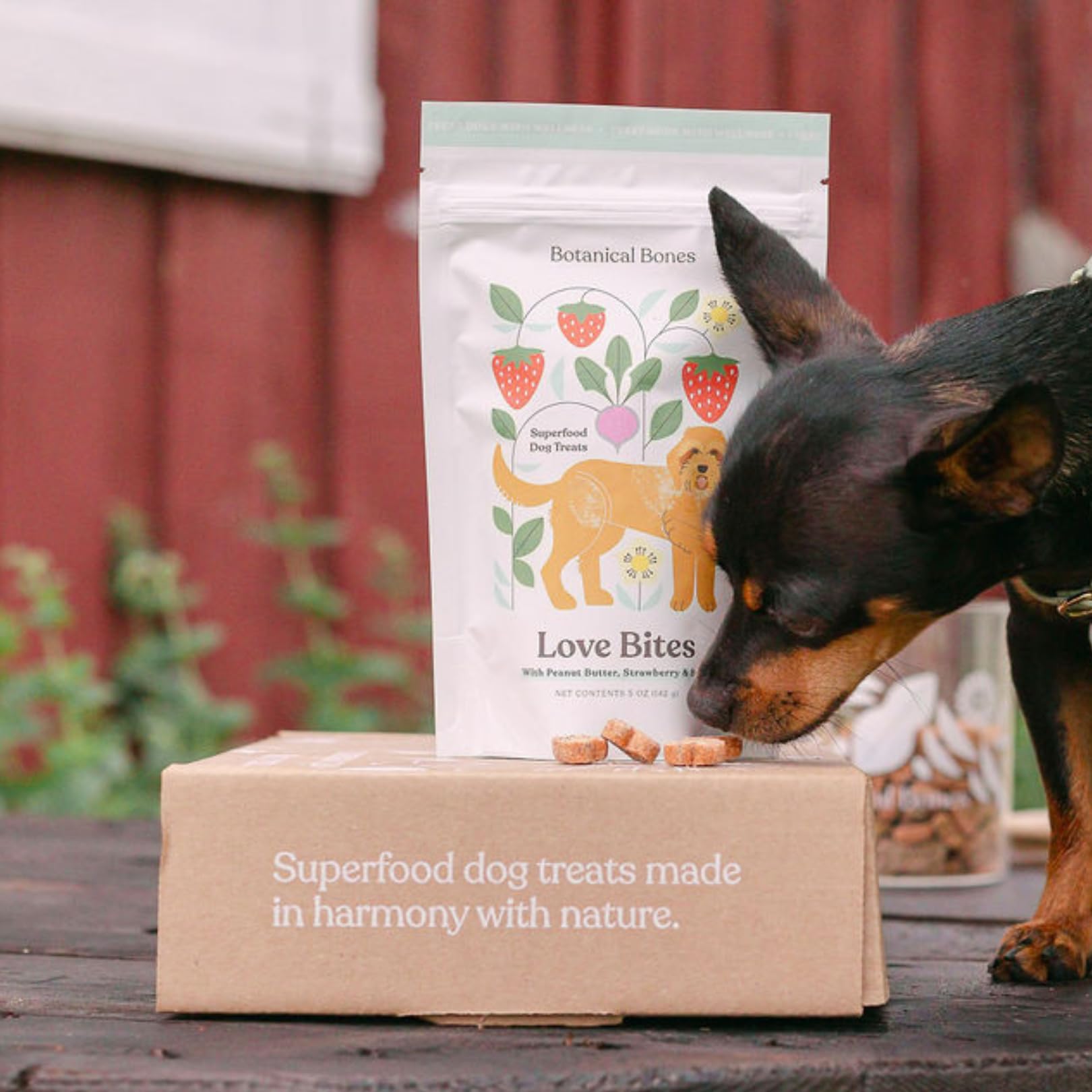 BOTANICAL BONES Love Bites Organic Training Treats for Dogs, Wheat-Free, Vegan Dog Treats, Clean Ingredients, Baked in The USA,