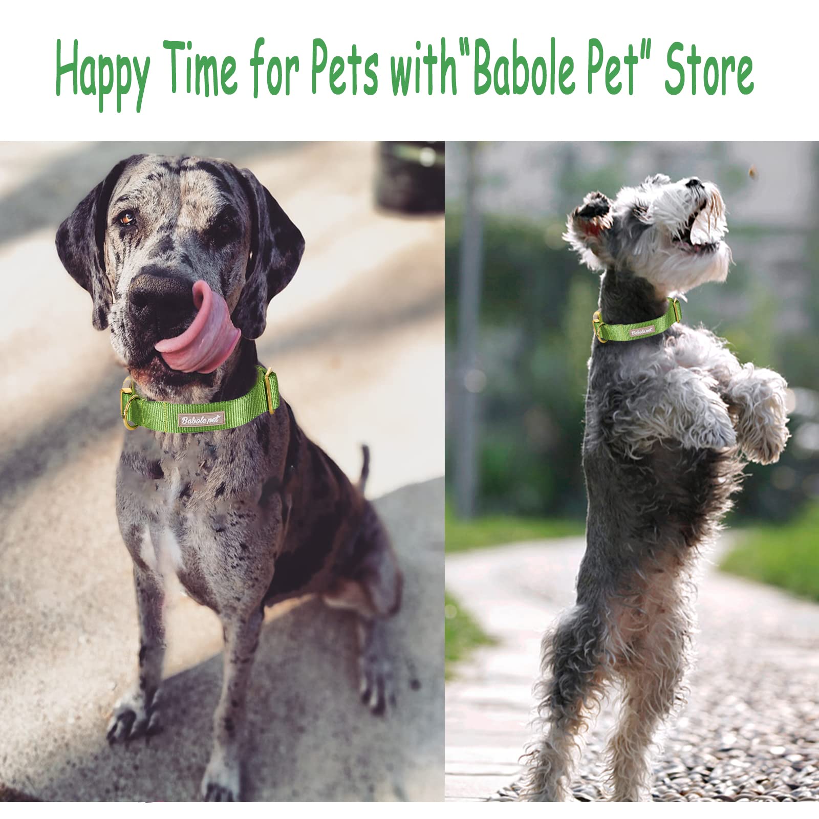 Babole Pet Nylon Dog Collar - Adjustable Green Soft Webbing Dog Collars For Small Medium Large Dogs Boy Girl Puppy Collar With S