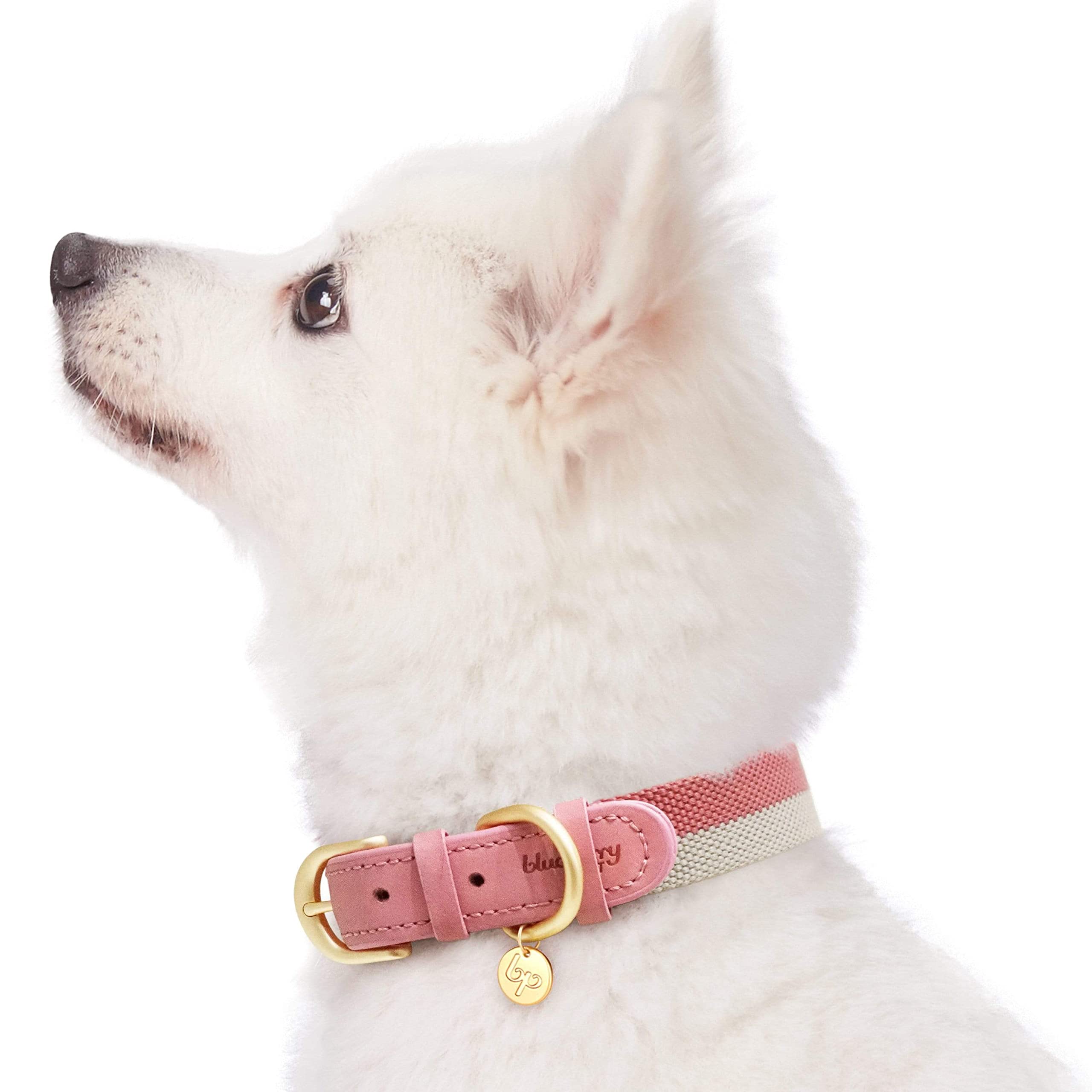 Blueberry Pet Soft & Comfy Genuine Full Grain Leather & Polyester Combo Adjustable Dog Collar - Classic Staple Striped In Pink A