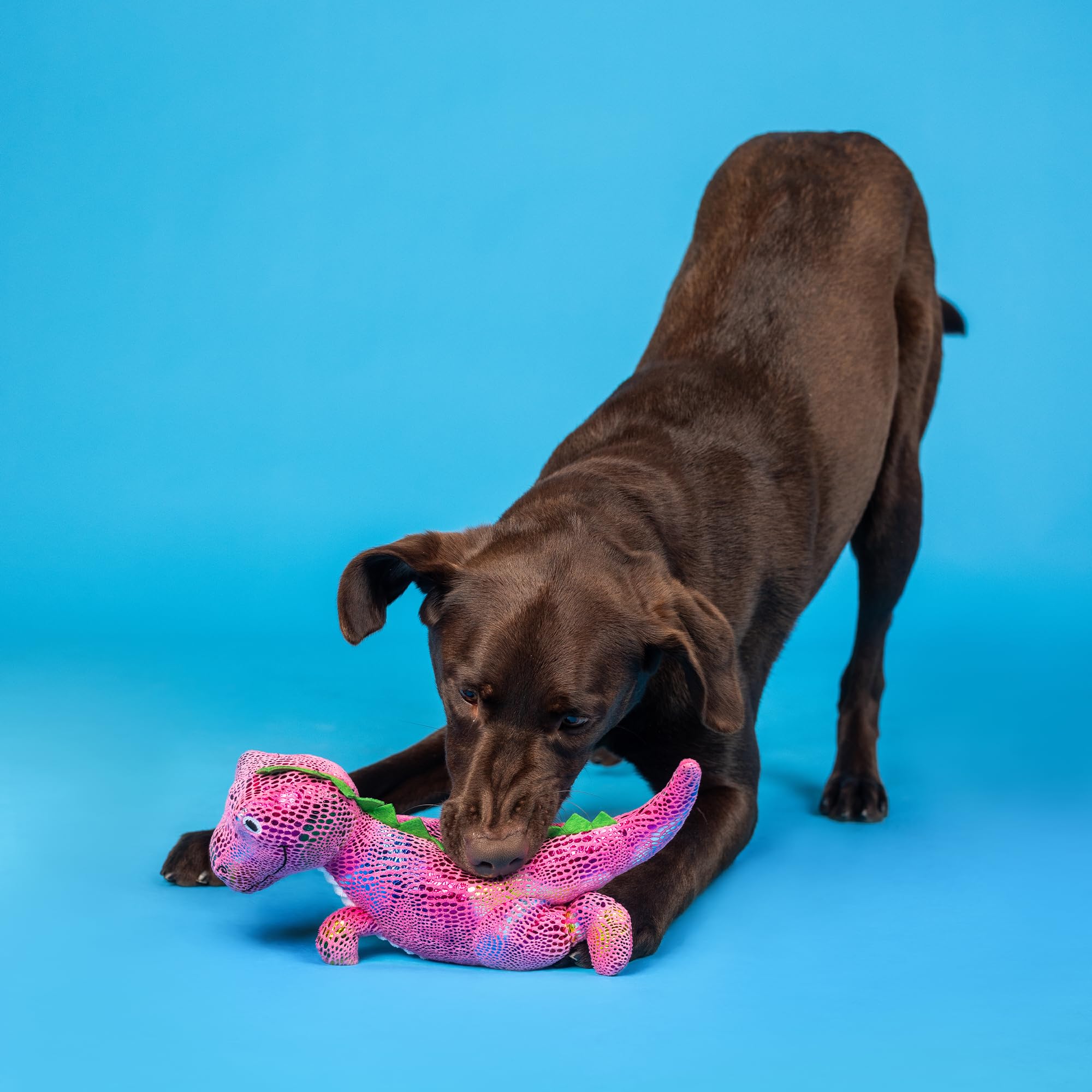 Fringe Studio Plush Dog Toy, Embrace Your Colors, Pet Shop Collection (314525)