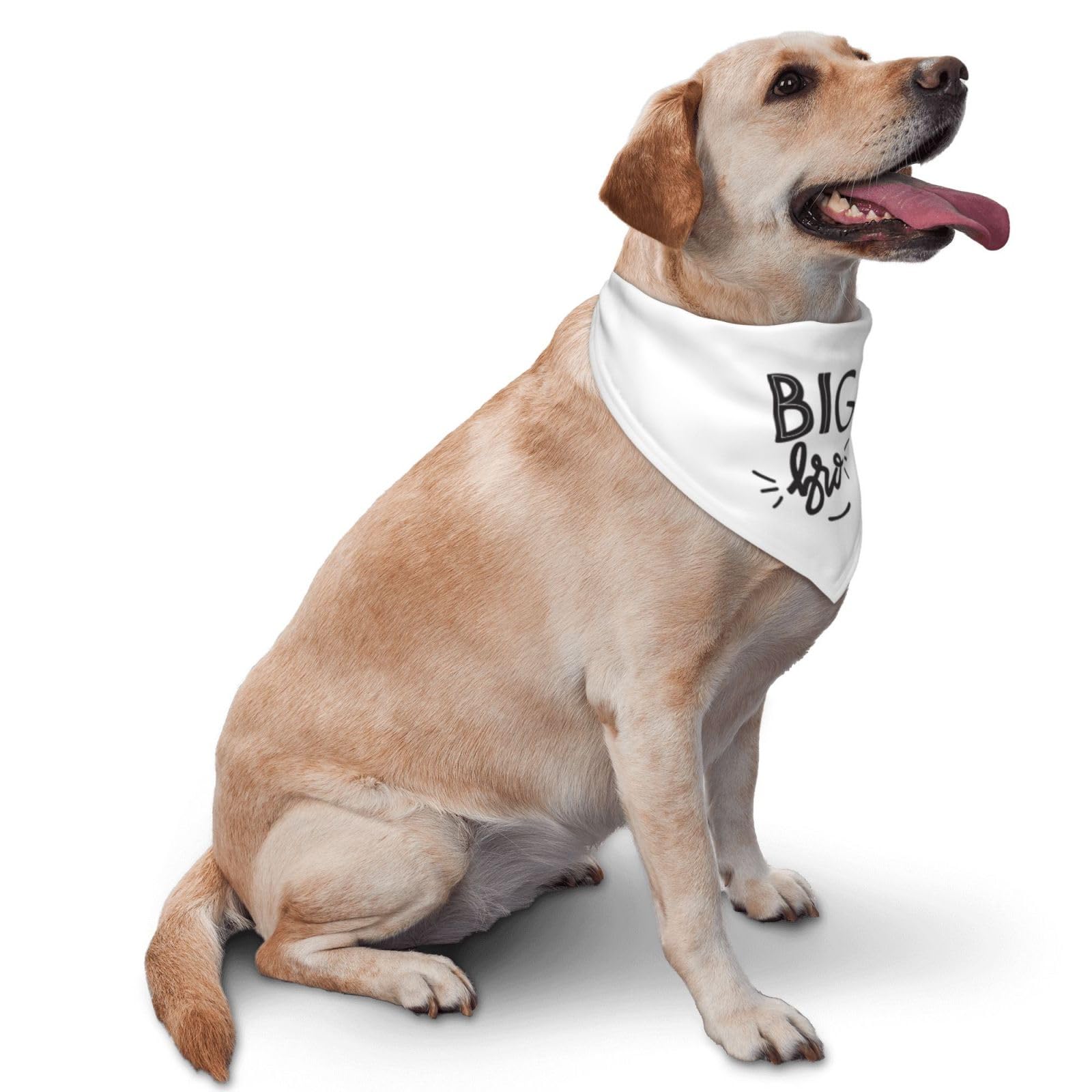 Vercosee Big Brother Dog Bandana, Reversible, Baby Announcement, Gift For Dog Lover Owner (White-New)