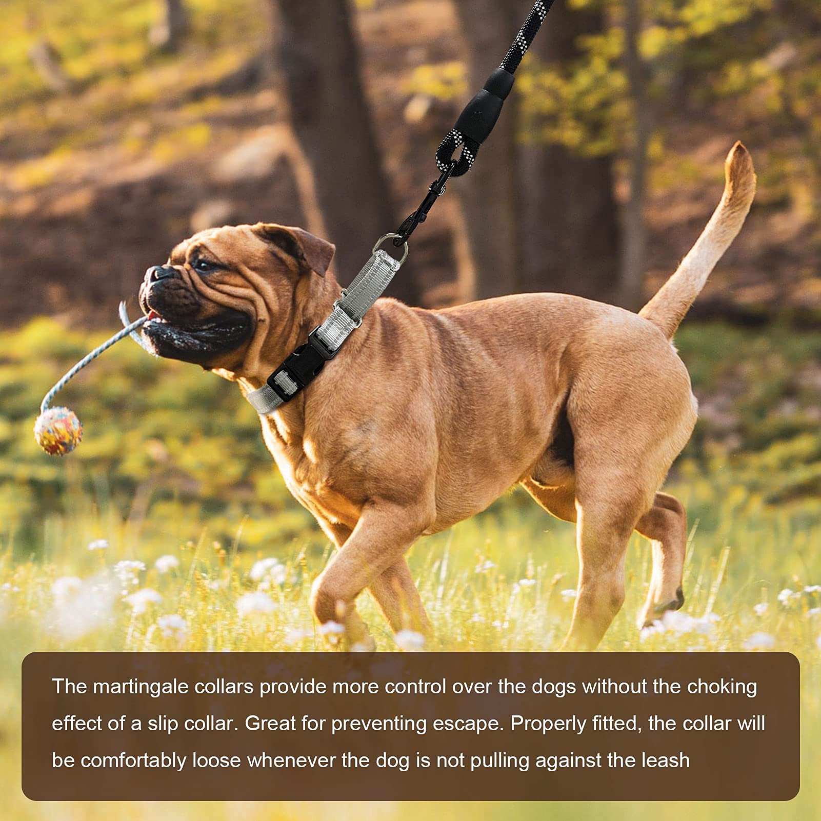 Hikiko Reflective Martingale Dog Collars With Buckle Nylon Adjustable No Slip Training Pet Collar (Medium, Sliver Grey)