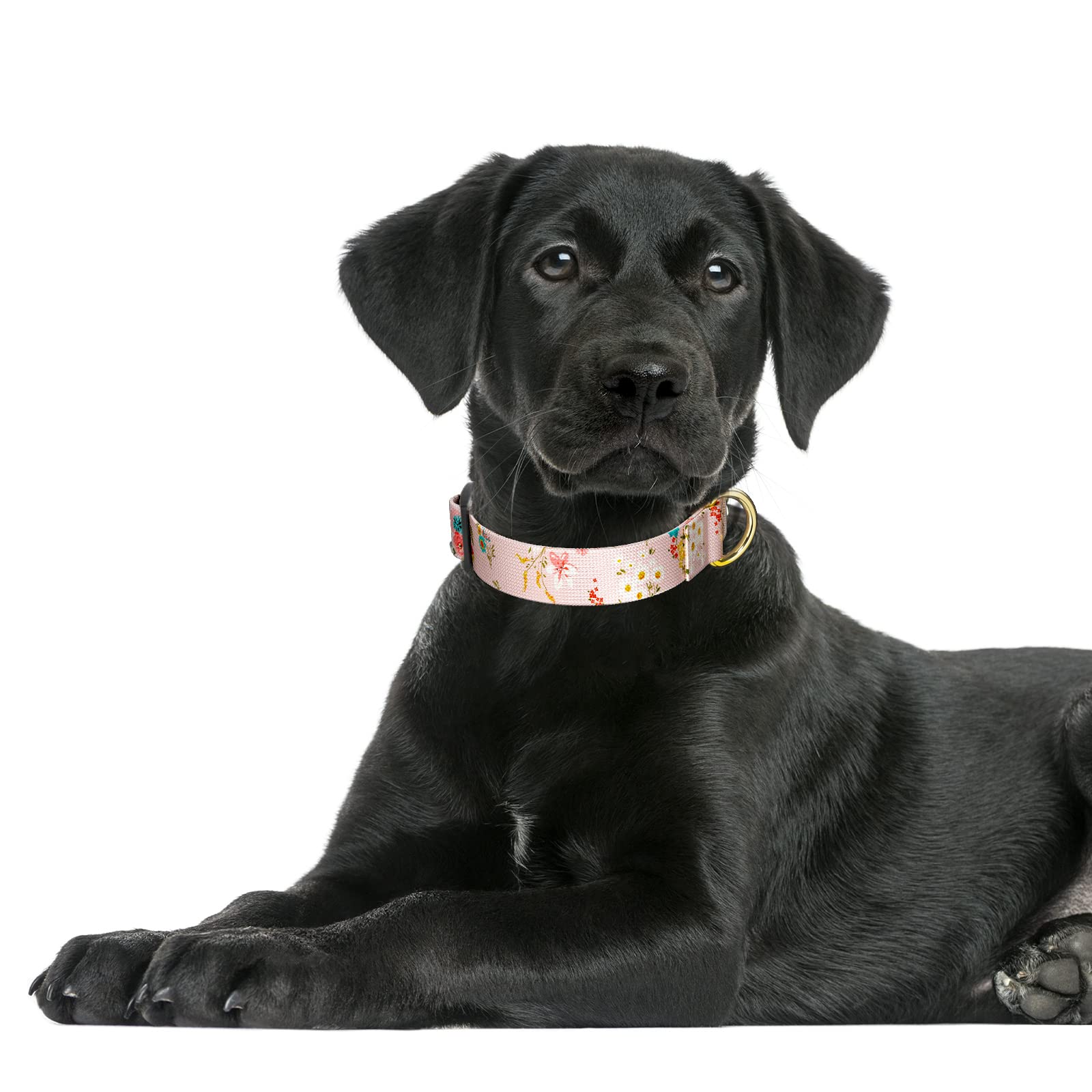 Rnivvi Dog Collar For Large Dogs, Cute Floral Heavy Duty Adjustable Puppy Collar With Quick Release Buckle For Boy Girl & Female