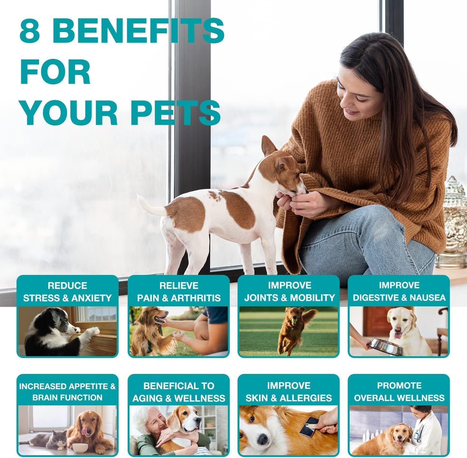 MaxHemp 2 Packs Pet Hemp Oil for Dogs and Cats- Anxiety, Stress Pain Holistic Inflammation Relief - for Joint Hip ?rthritis, Cal