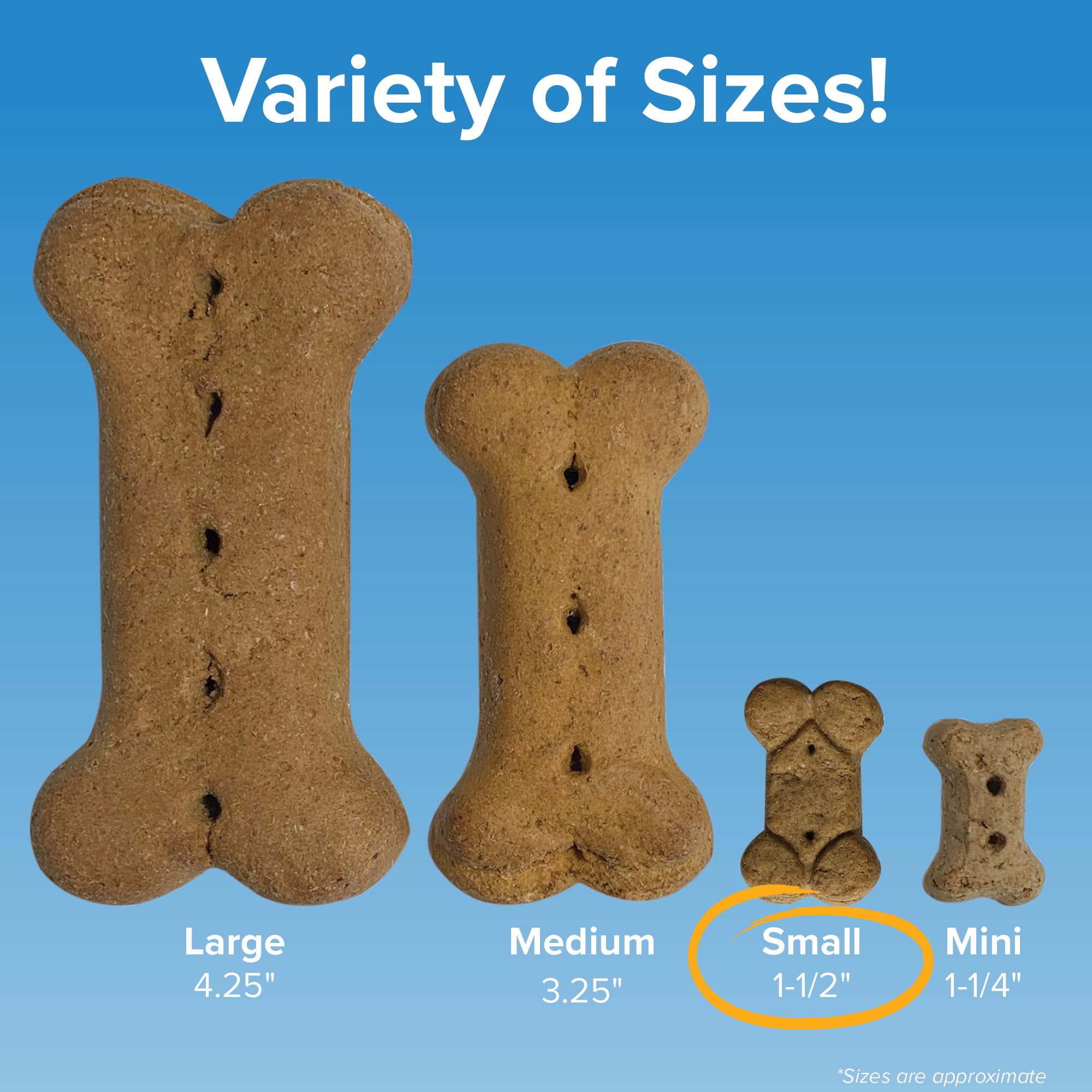 Blue Seal Kent Entrust Crunchers - Small Dog Treats, Original Recipe - Crunchy Oven Baked Biscuits with Premium Ingredients, Hea