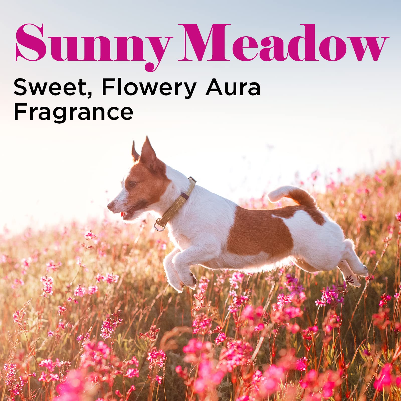 Groomer Essentials Sunnymeadow Cologne - 8 Oz