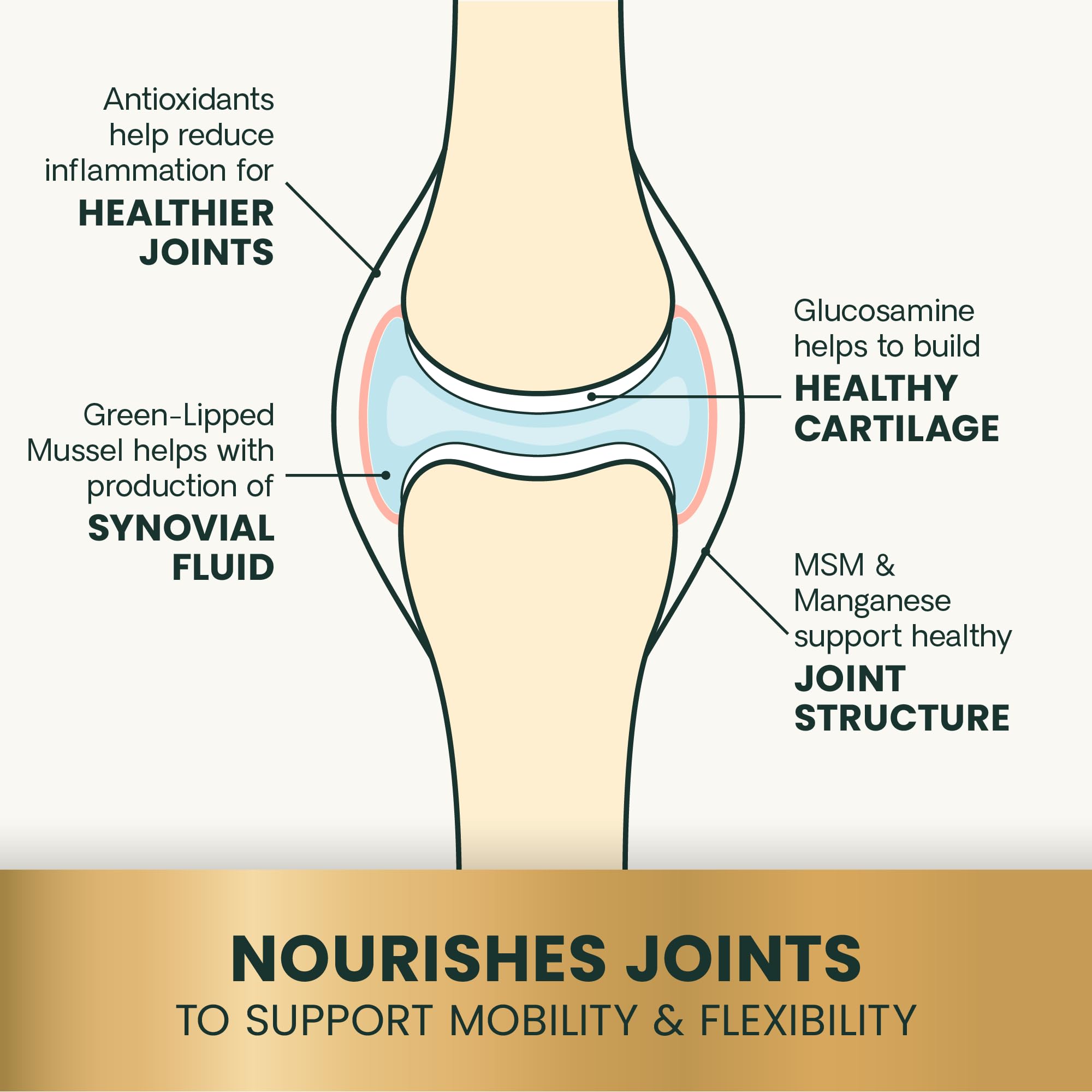 VetriScience Glycoflex 3 Vet Strength Glucosamine for Dogs Hip and Joint Supplement, Chicken, 60 Chews - Clinically Proven Mobil