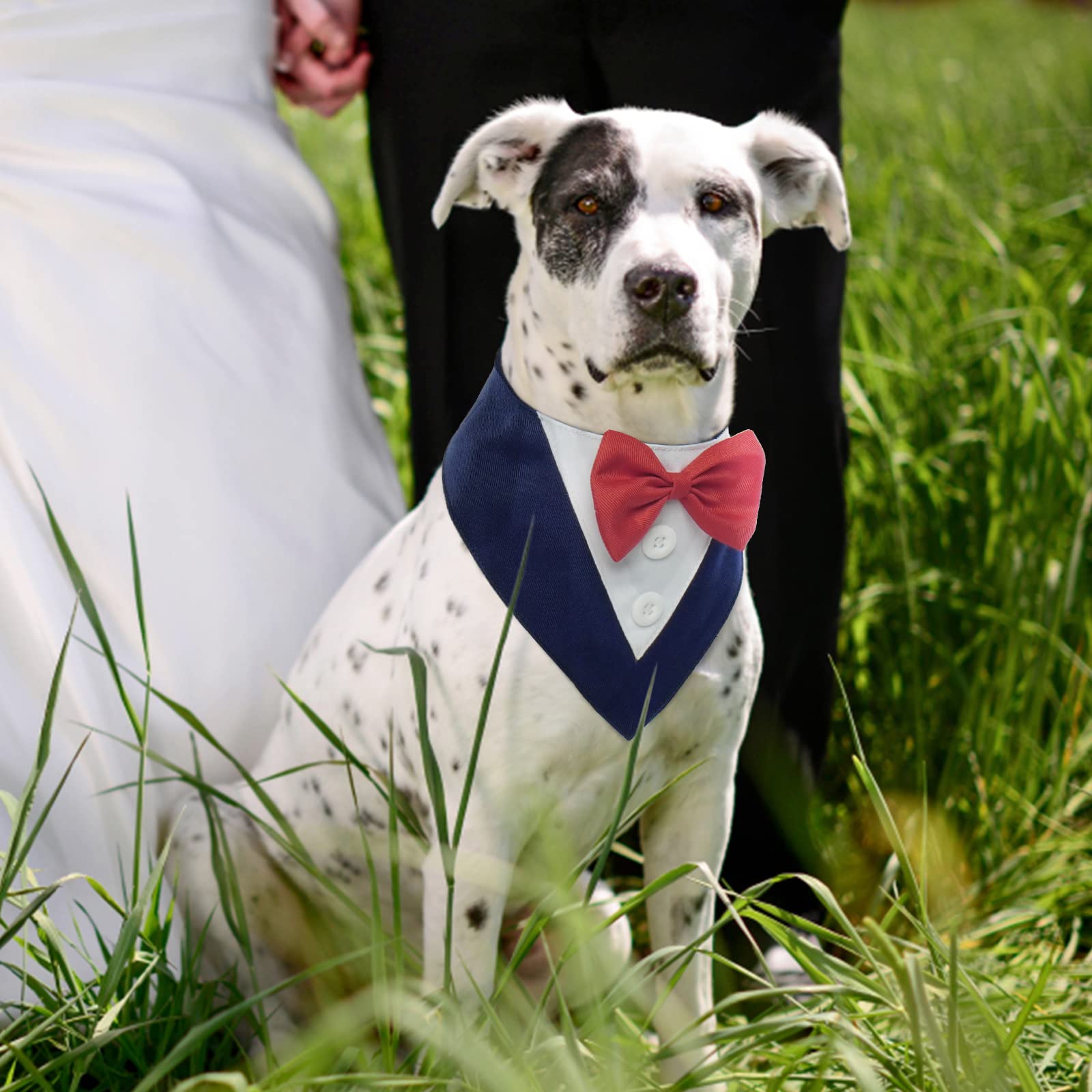 Fuamey Dog Tuxedo,Formal Dog Wedding Bandana Dog Collar With Bow Tie Dog Birthday Costume Adjustable Pet Party Tux Dog Wedding Attire,Dog Valentines Outfit Cosplay For Small Medium Large Pets Blue Xs