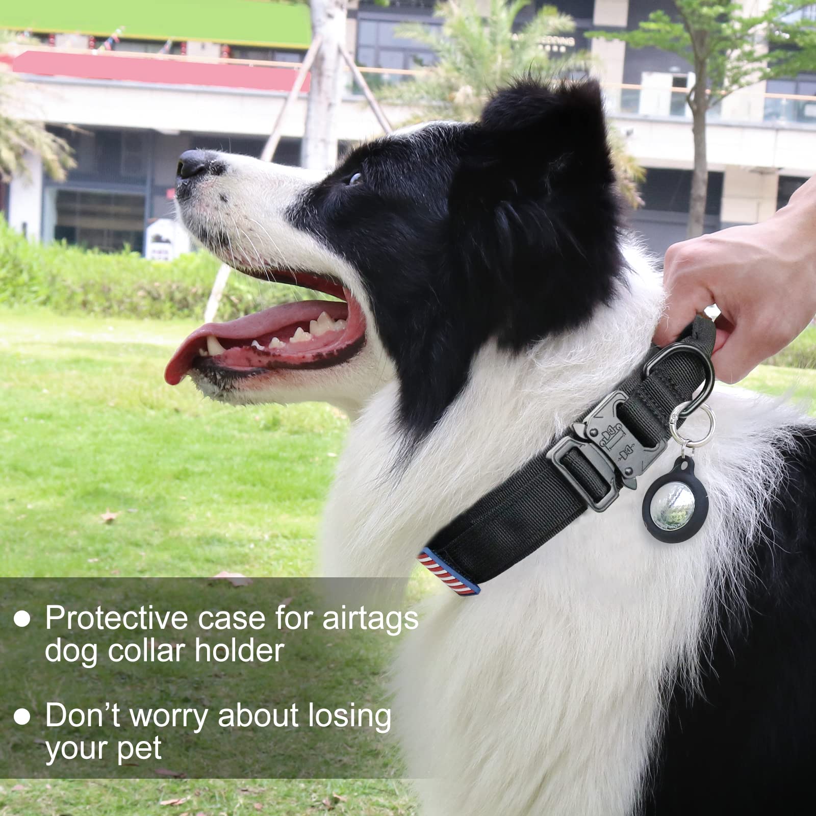 Tactical Dog Collar, Military Dog Collar For Medium Dogs, Adjustable Nylon Collar With Handle, Heavy Duty Metal Buckle K9 Collar