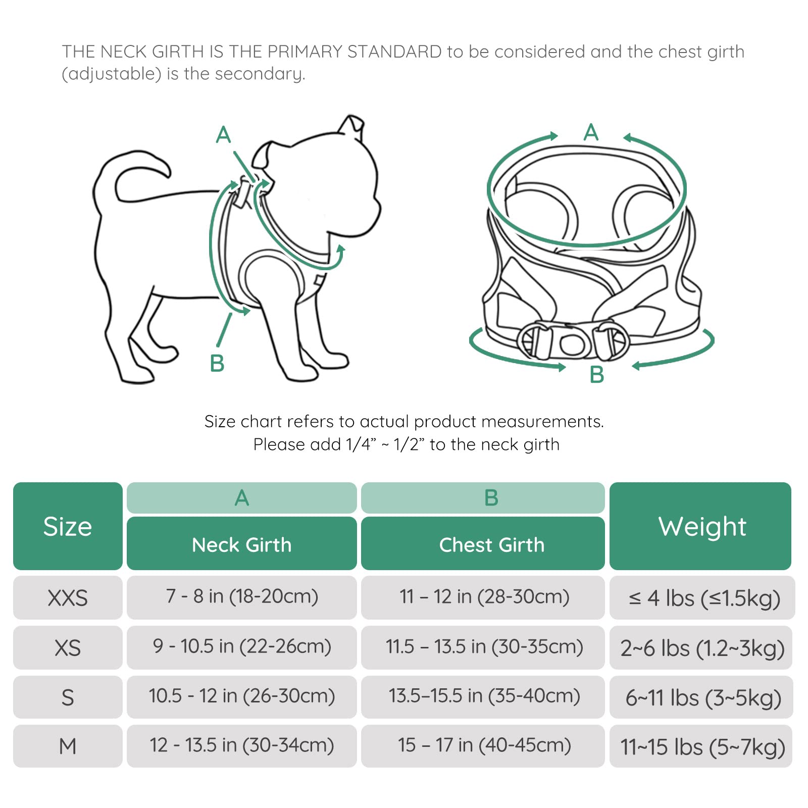 Bella & Pal Puppy Harness With Leash Set, Dog Harness For Small Dogs No Pull, Dog Leash For Small Dogs, Step In Harness For Extra Small Dogs, Green Harness, S