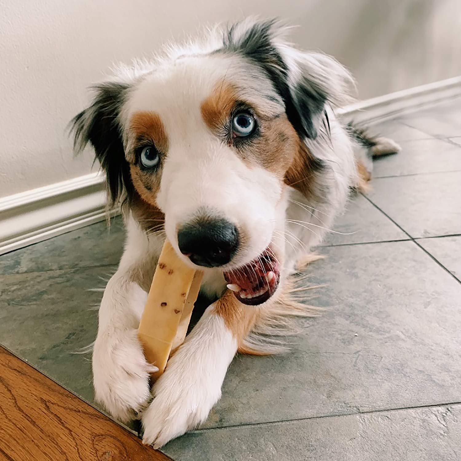 Himalayan Dog Chew Peanut Butter Medium 5.3Oz