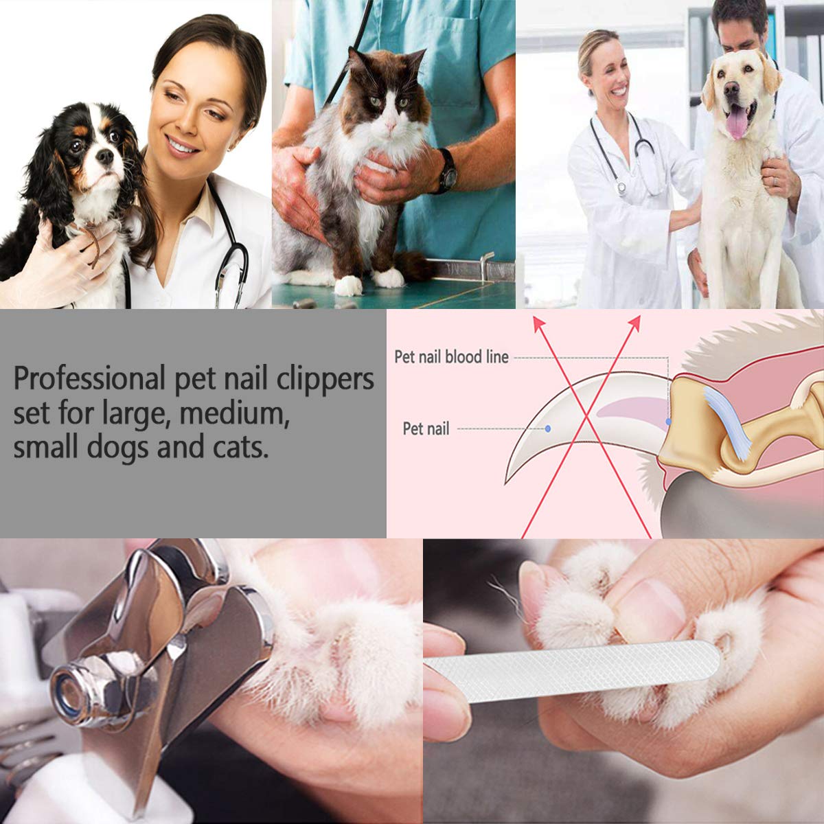 Ldjzon Pet Nail Clippers And Trimmers Set Safety Guard To Avoid Over Cutting Razor Sharp Blades Grooming Tool For All Small Large Dog Cat Red