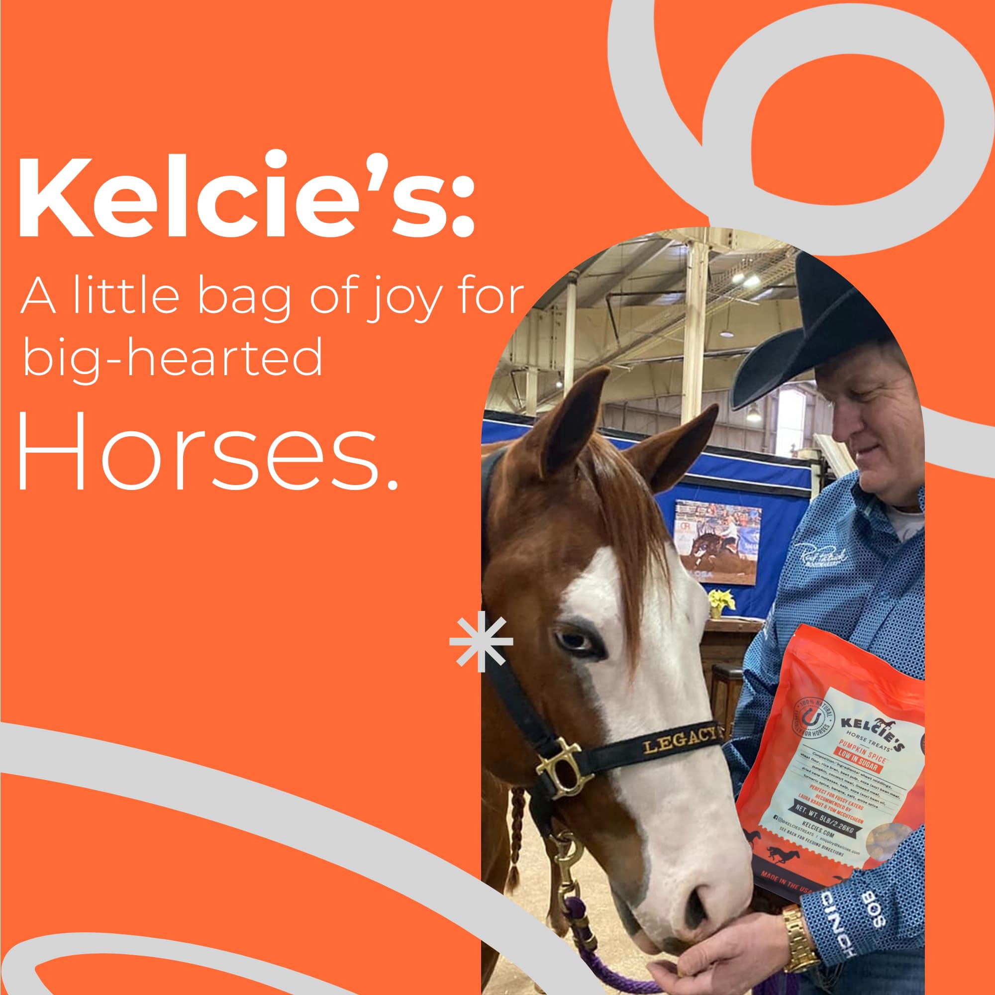 Kelcies Pumpkin Spice Horses Treats - Low Sugar, Starch, and Carbohydrates | Healthy Treats for Horse Supports Superior Digestio