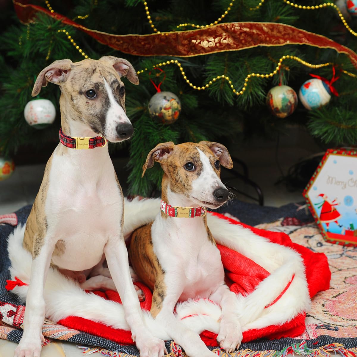 Unique Style Paws Christmas Dog Collar Metal Buckle Christmas Tree Puppy Collar Gift Durable Cute Collar For Small Medium Large Boys Girls Dogs