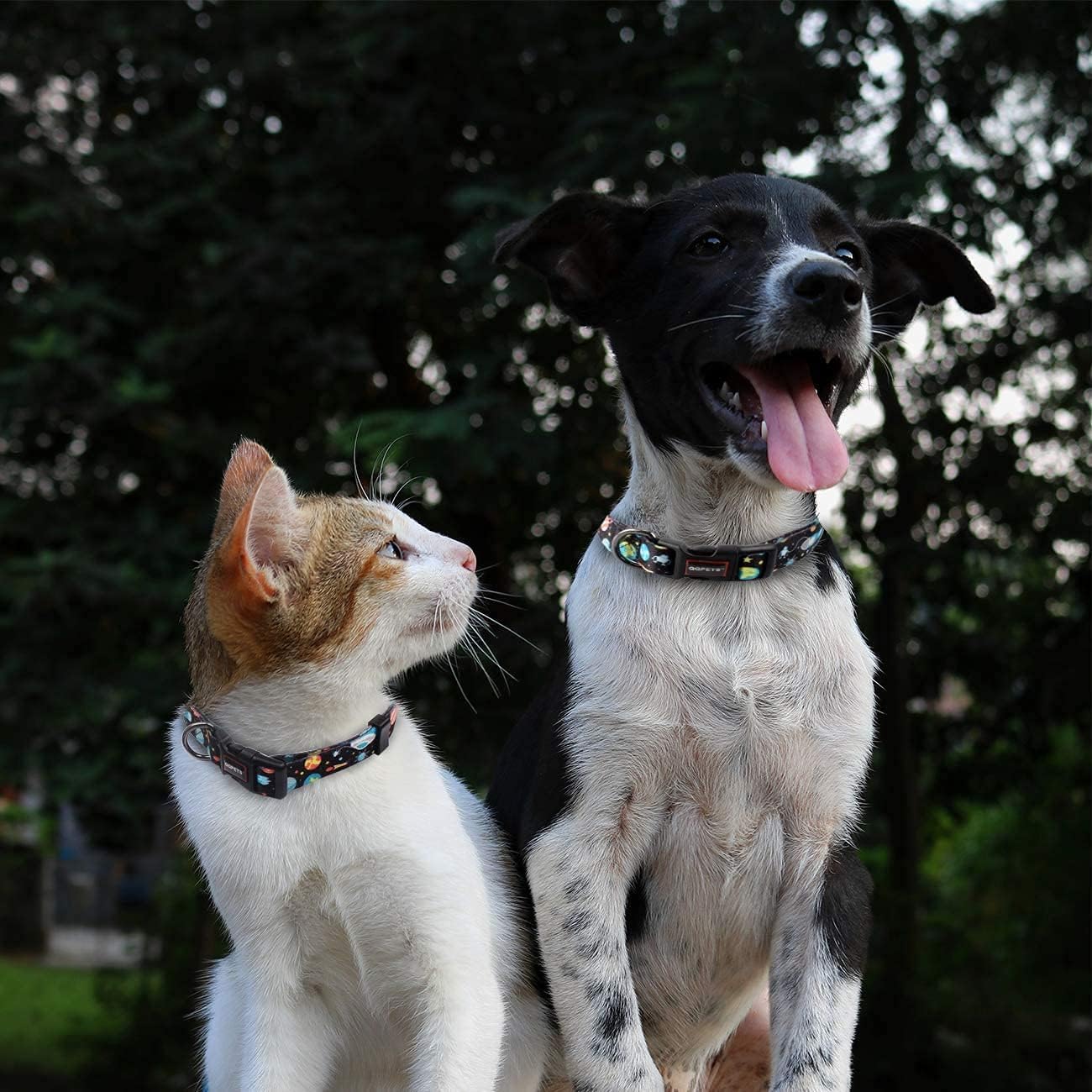 Roses&Poetry Dog Collar With Colourful Star Patterns, Adjustable Durable Puppy Collars For Small Medium Large Dogs (Star-Xs)