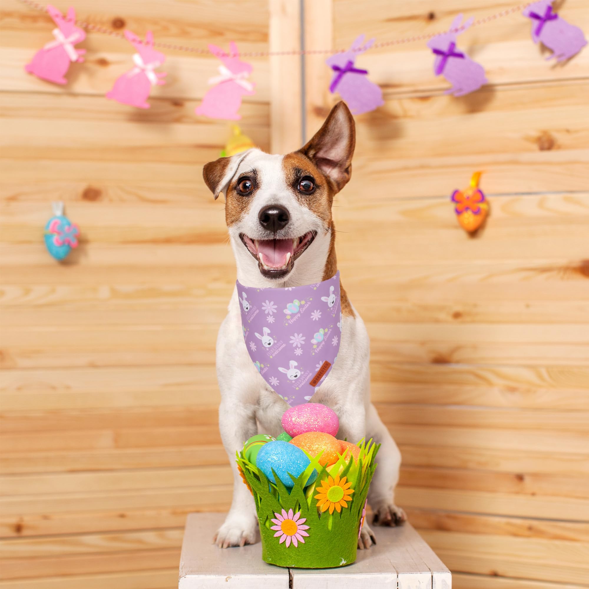 ADOGGYGO Easter Dog Bandanas, Reversible Bunny Floral Pet Scarf, Multi Size Offered, Rabbit Easter Bandana for Small Dogs Pets (