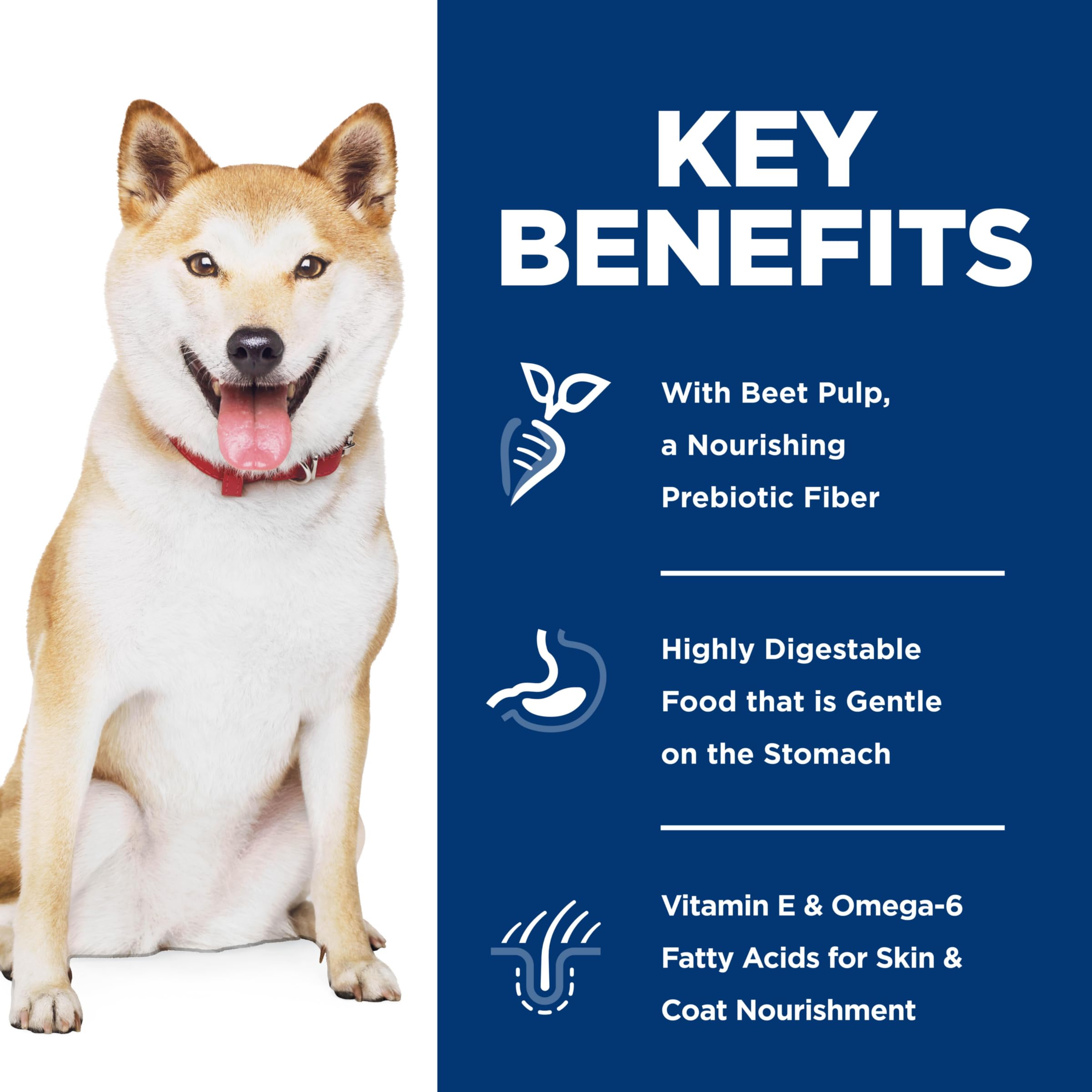 Hills Science Diet Sensitive Stomach & Skin, Adult 1-6, Stomach & Skin Sensitivity support, Dry Dog Food, Pollock, Barley, & In