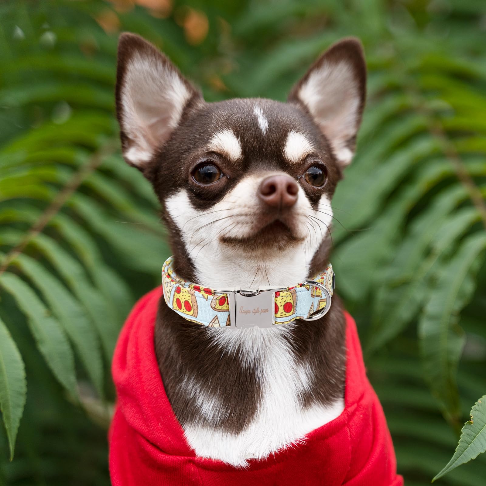 Unique Style Paws Dog Collar Metal Buckle Pizza Collar Gift Durable Cute Collar For Small Medium Large Boys Girls Dogs