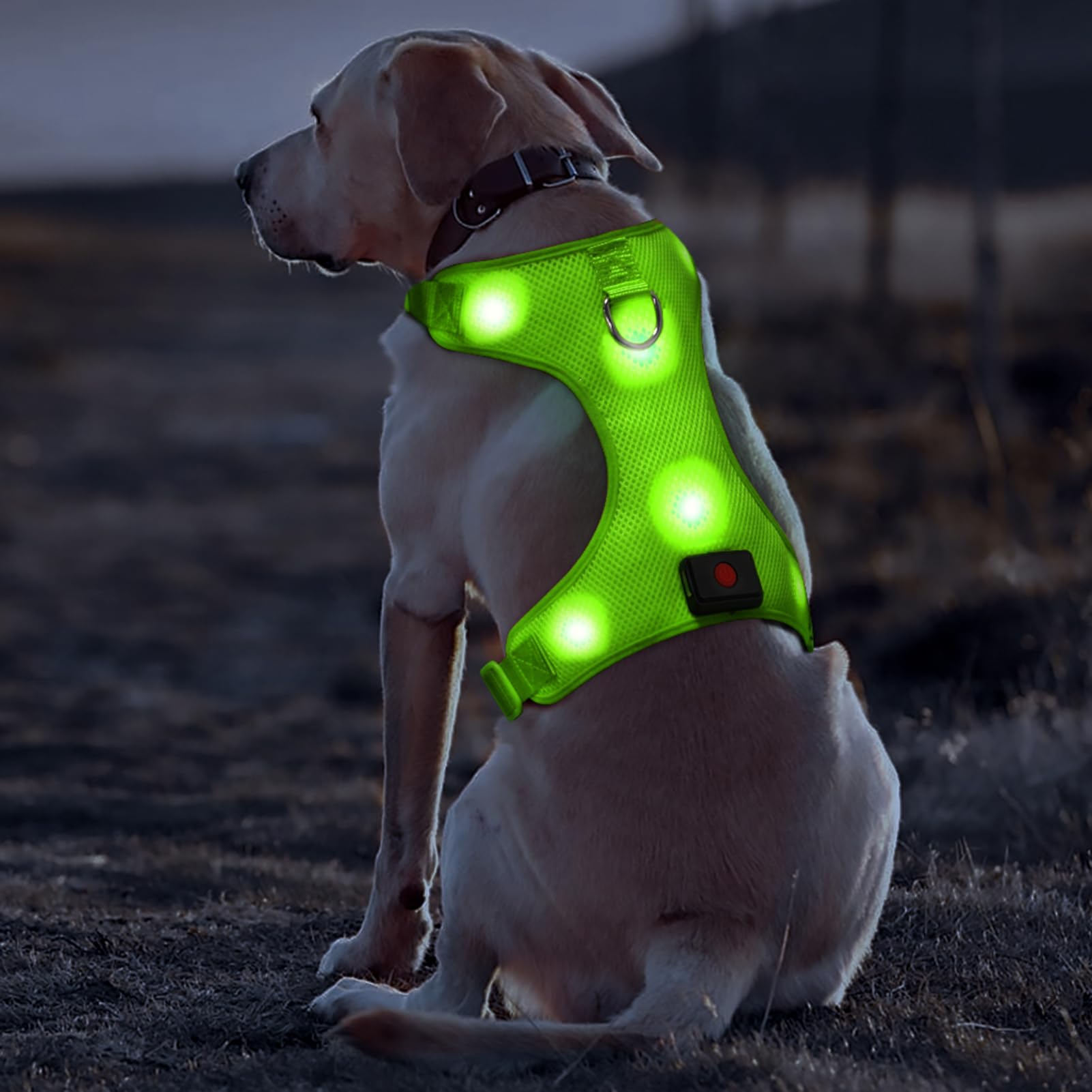 DOMIGLOW LED Dog Harness - Safety Light Up Dog Vest, No-Pull Dog Harness, Rechargeable Glowing Pet Harness for Dogs Nighttime Wa