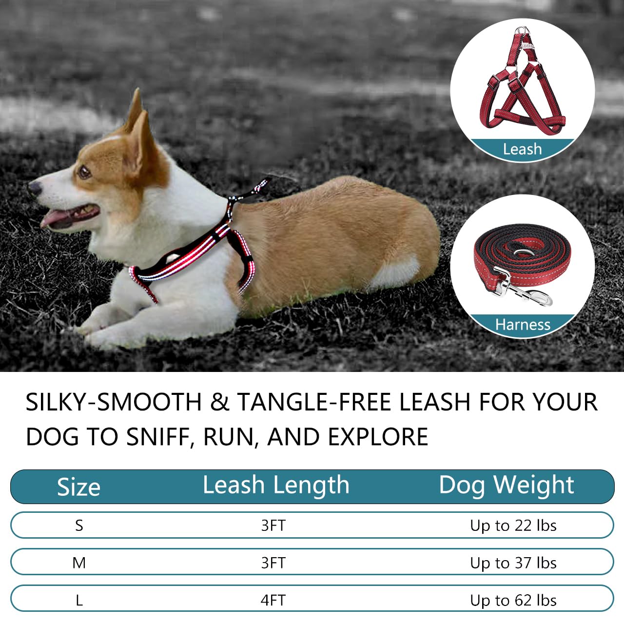 Reflective No-Pull Dog Harness And Leash Set For Small Dogs - Quick-Release Buckle, Adjustable Step-In Design With Double D-Ring