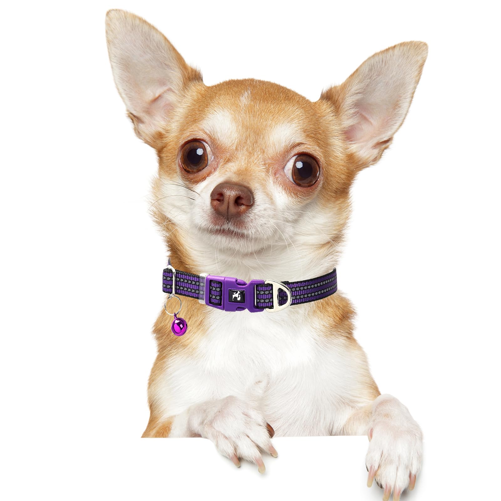 Onefojojo Reflective Dog Collar With Bell - Adjustable Nylon Puppy Collar For Small Dogs, Chihuahua Pomeranian - Night Safety (P