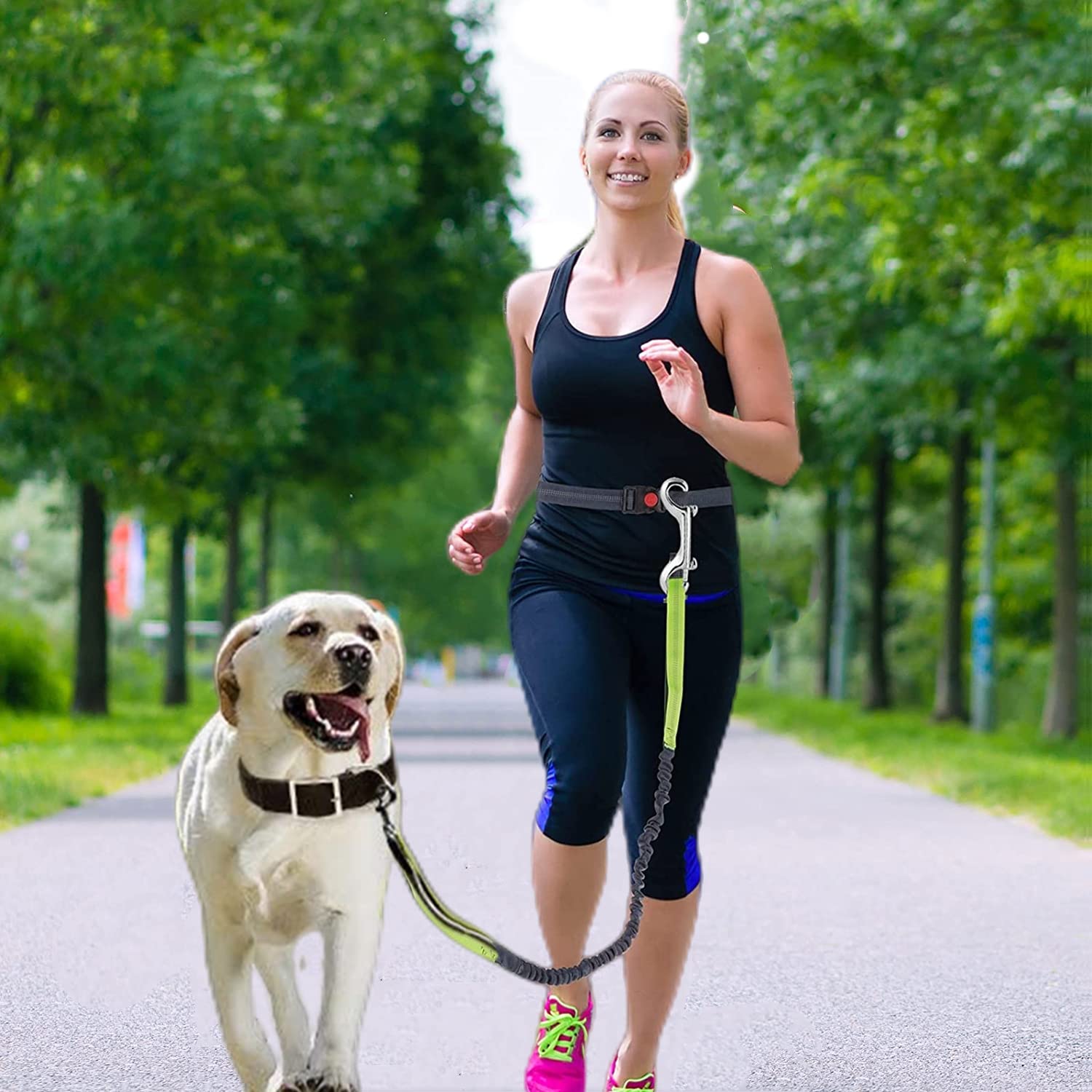 Dog Lesh Double Ended Snap Hooks For Walking Running,Stainless Steel Dog Clips For All Pet Leash,Pet Feed Buckets,Horse Tack,Camping Hammock,Widely Use (4Pack)