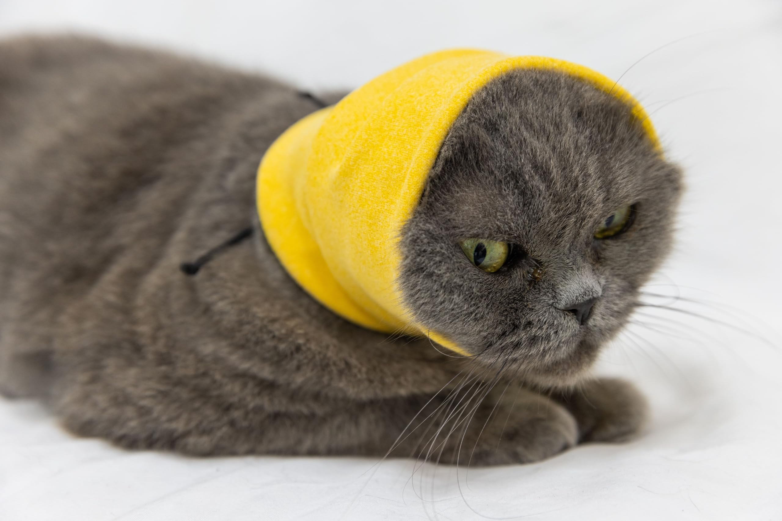 DDFS Soothing Cat Head Wrap Comfort Anti Anxiety Relief Quiet Ears Cat Snood for Grooming Yellow S