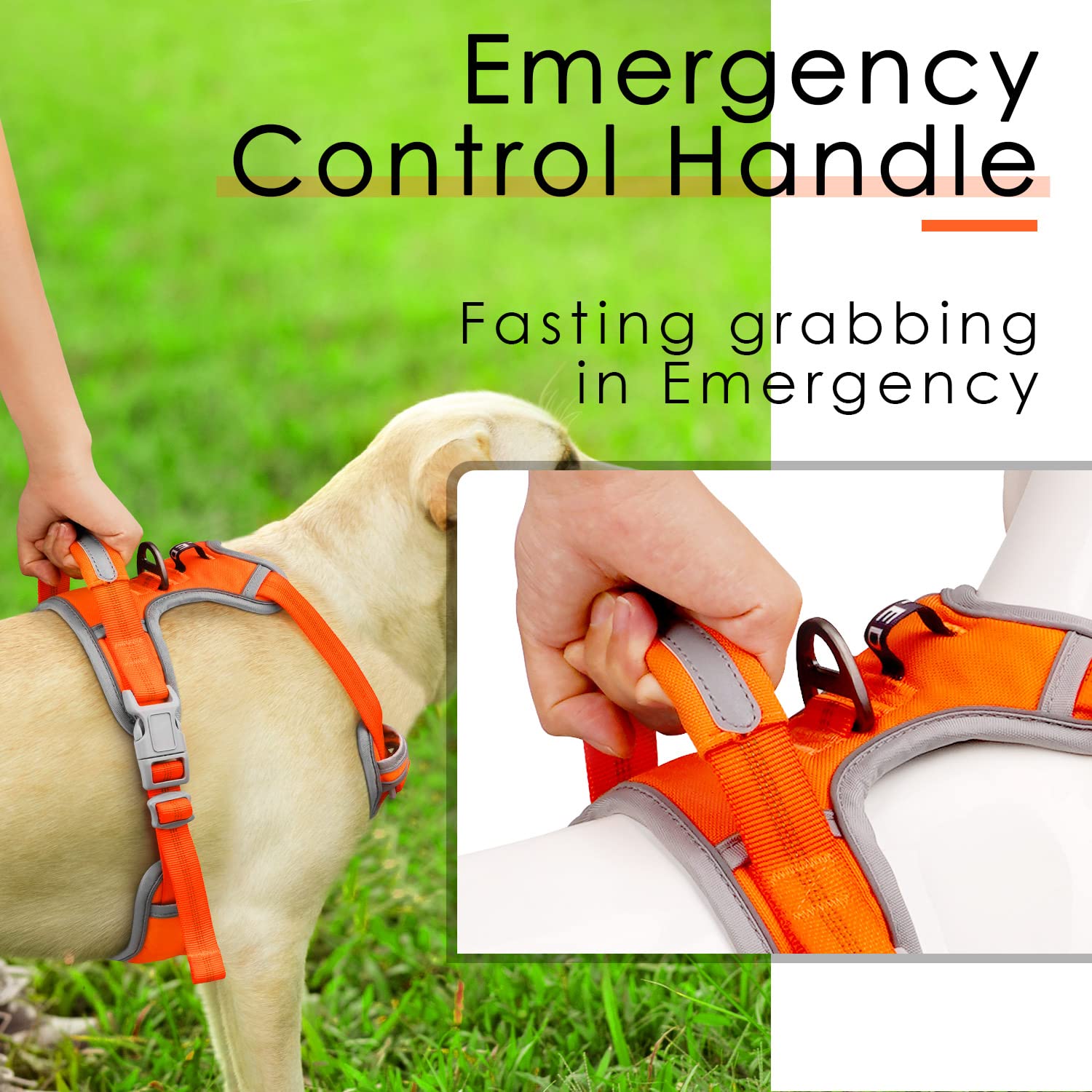 Thinkpet No Pull Harness Breathable Sport Harness With Handle-Dog Harnesses Reflective Adjustable For Medium Large Dogs,Back/Front Clip For Easy Control M Neon Orange