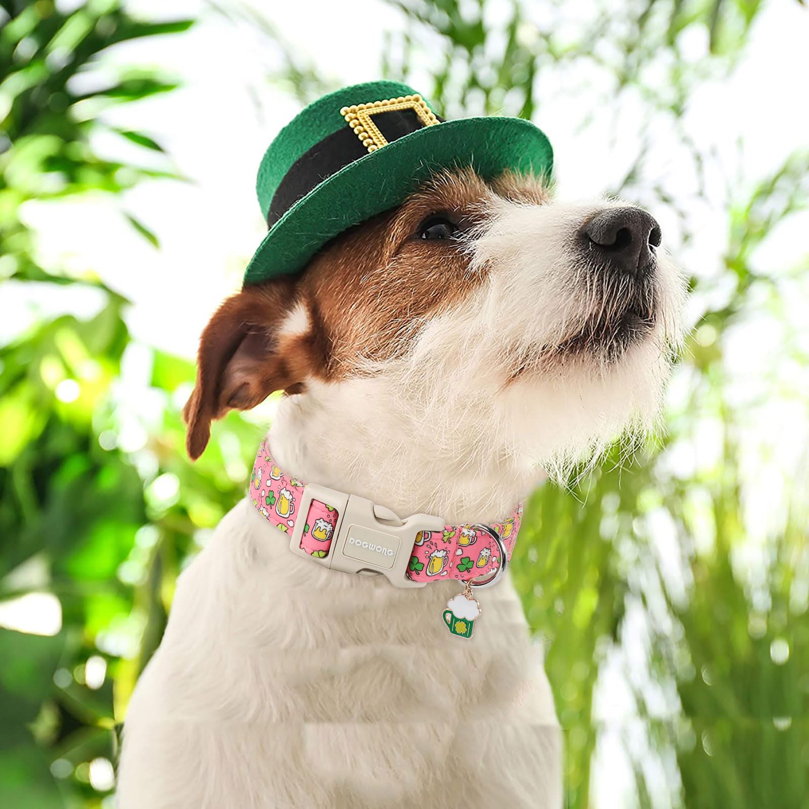 Dogwong St. Patrick'S Day Dog Collar, Pink Green Clover Dog Collars, Adjustable St. Patrick'S Day Pet Collars Beer Dog Collar Wi