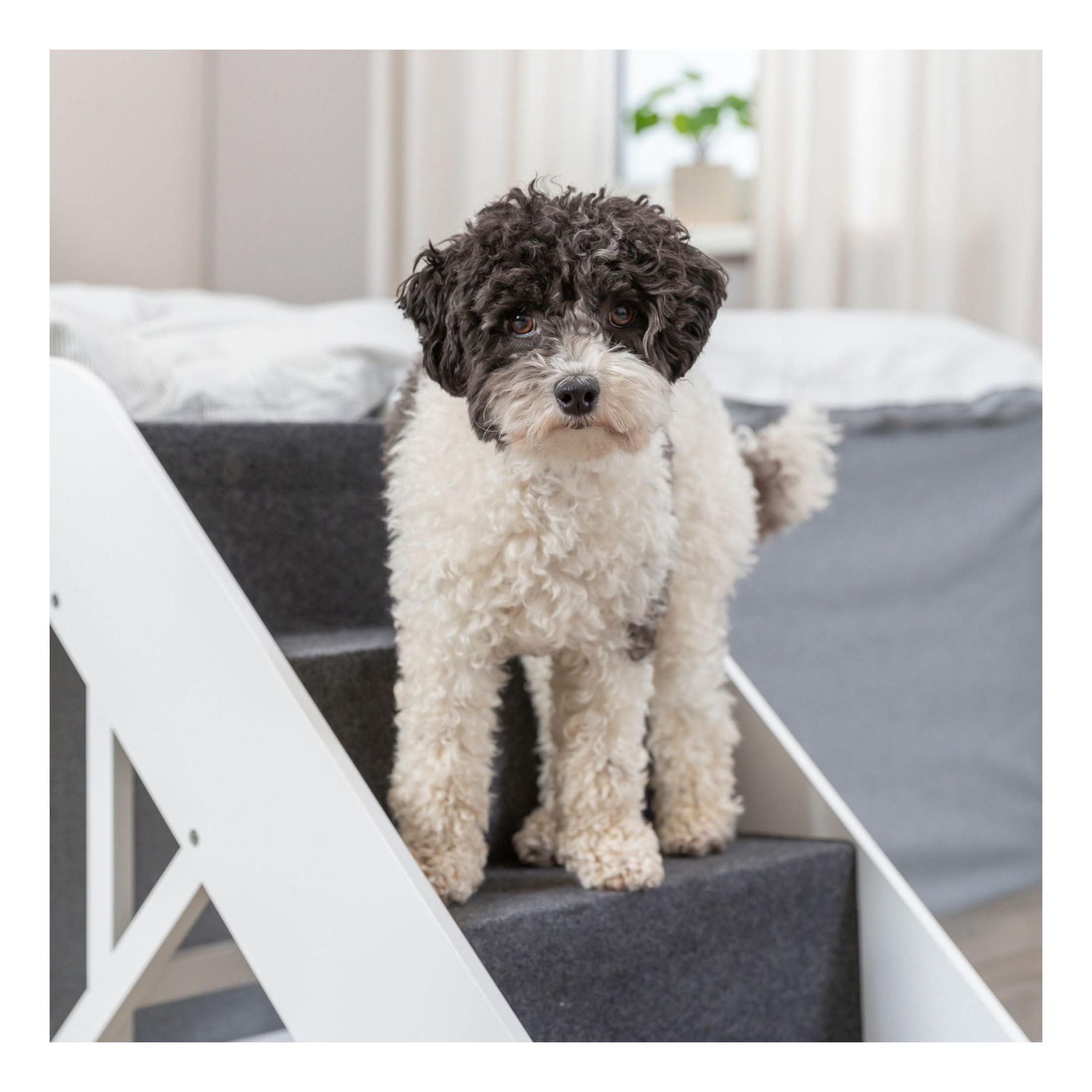 Trixie Dog Stairs With Nonslip Carpet - 4 Step Pet Stairs For Beds And Couches - Easily Adjustable - In White