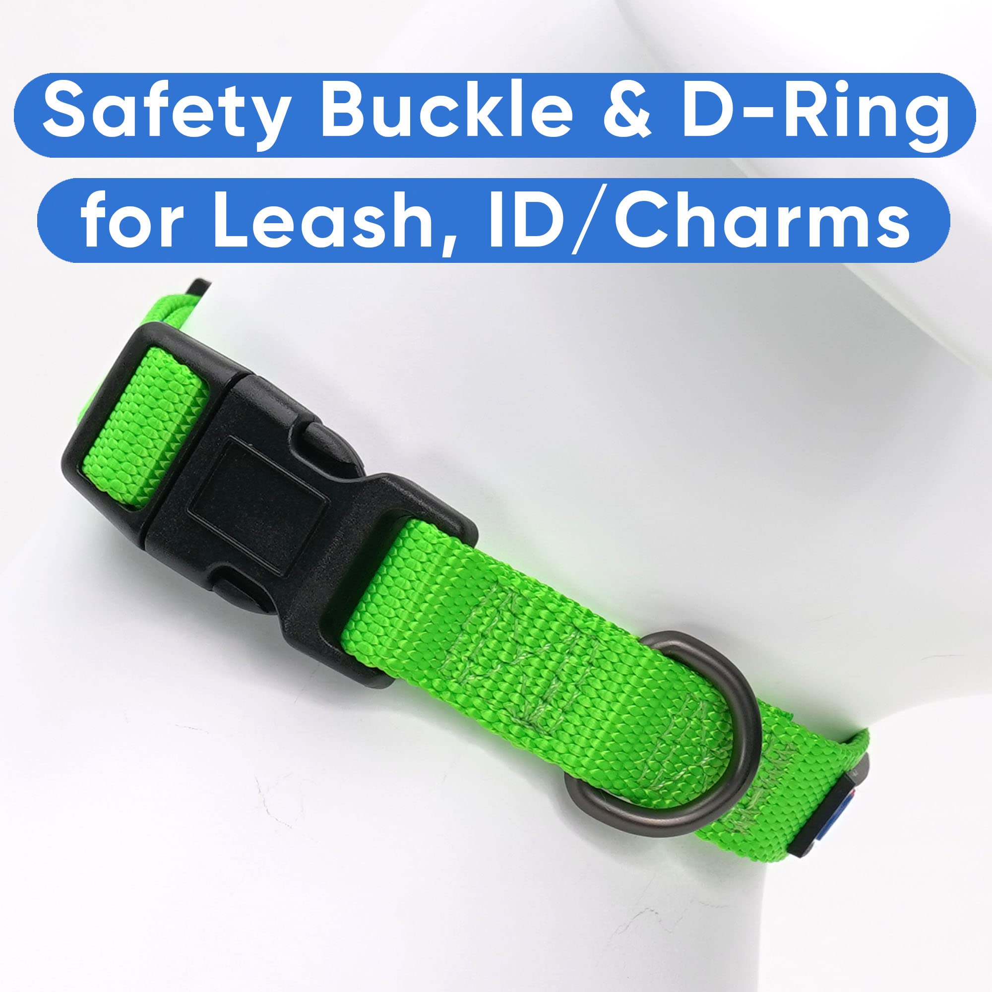 Pawtitas Dog Collar For Small Dogs Training Puppy Collar With Solid - S - Green