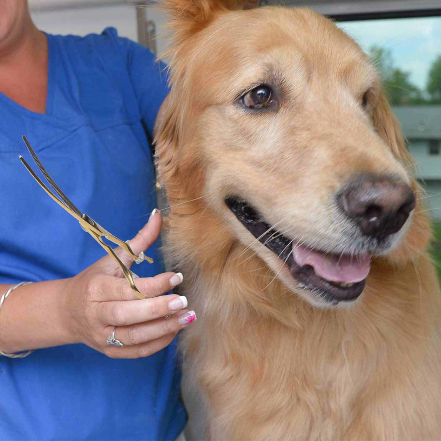 Purplebird 7 Inch Downward Curved Dog Grooming Scissors Thinning Texturizing Shears Professional Safety Blunt Tip Trimming Shearing For Dogs Cats Face Paws Limbs Japanese Stainless Steel Yellow