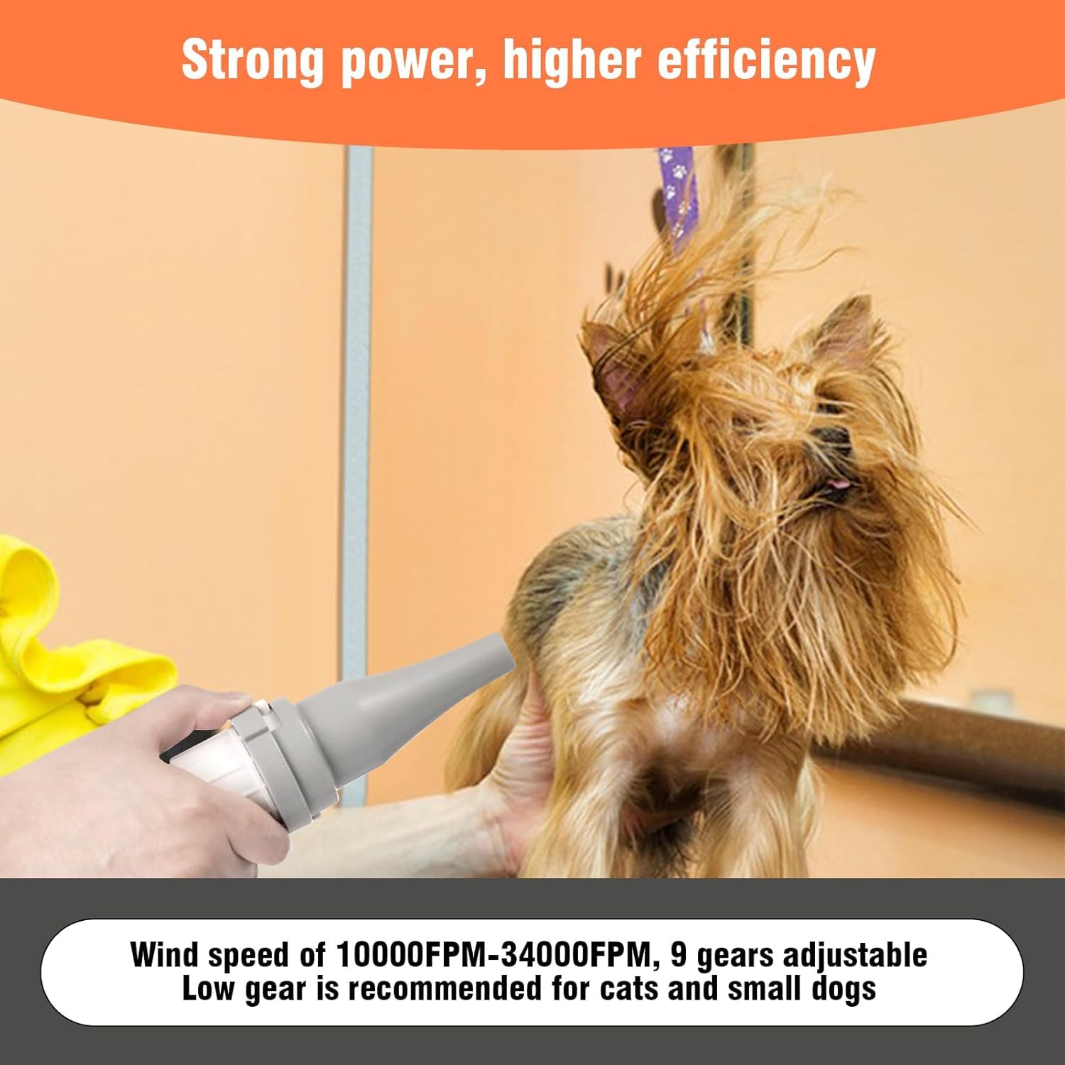 Pegnoy Dog Dryer, High-Speed Professional Pet Grooming Dryer, Cat Dryer, Fast Drying, 3 Different Nozzles, Suitable For All Kind
