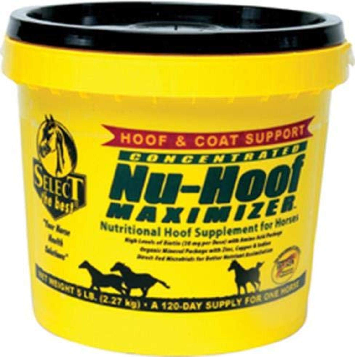 RICHDEL 784299390508 Nu-Hoof Maximizer Hoof & Coat Support for Horses, 5 lb